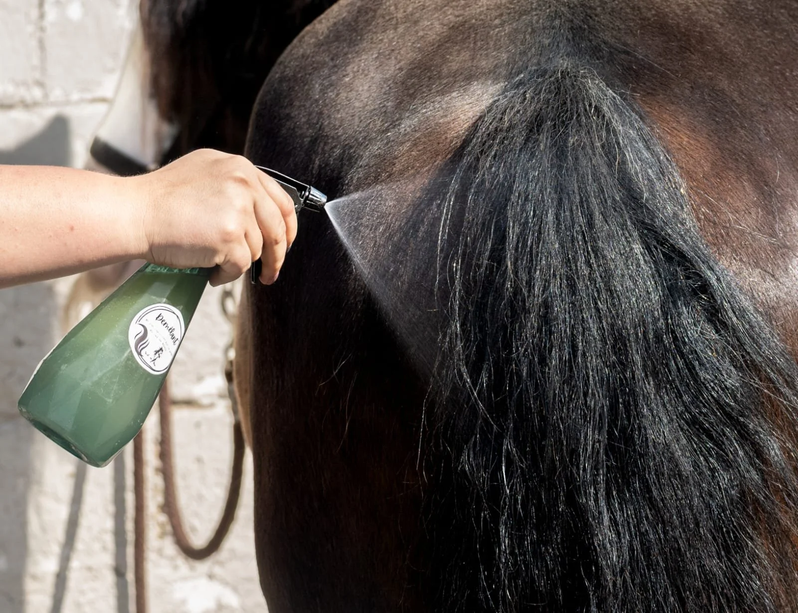 Smooth Mane