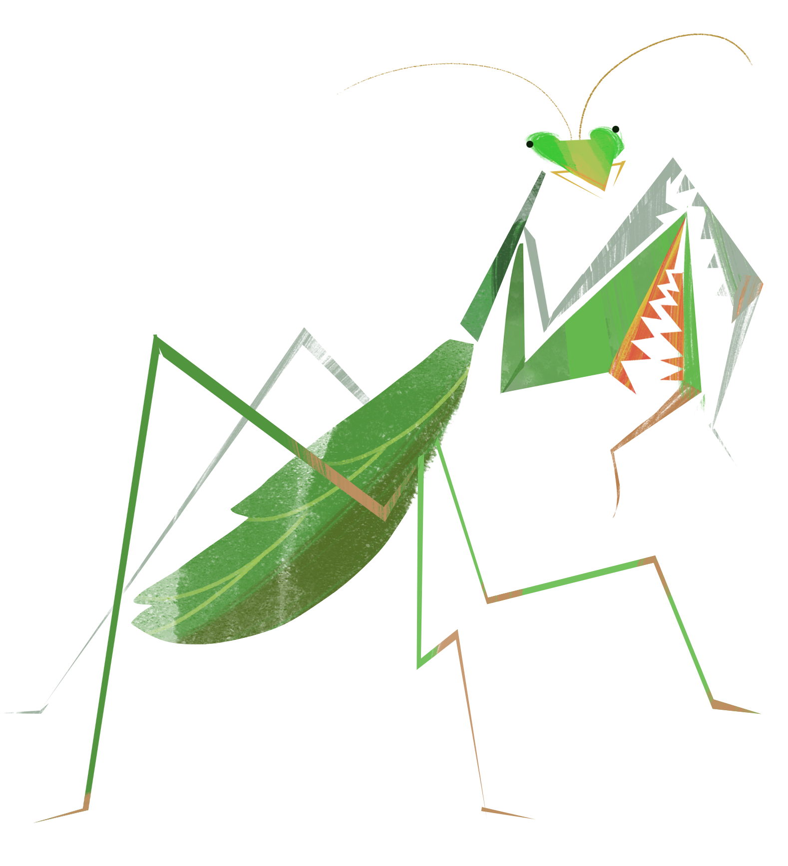 Mantis.png