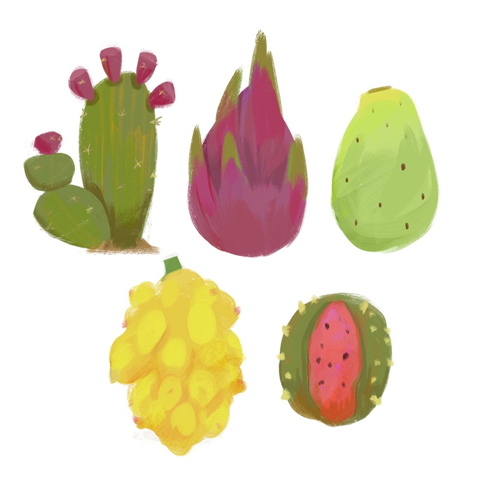 Dragonfruit.jpg
