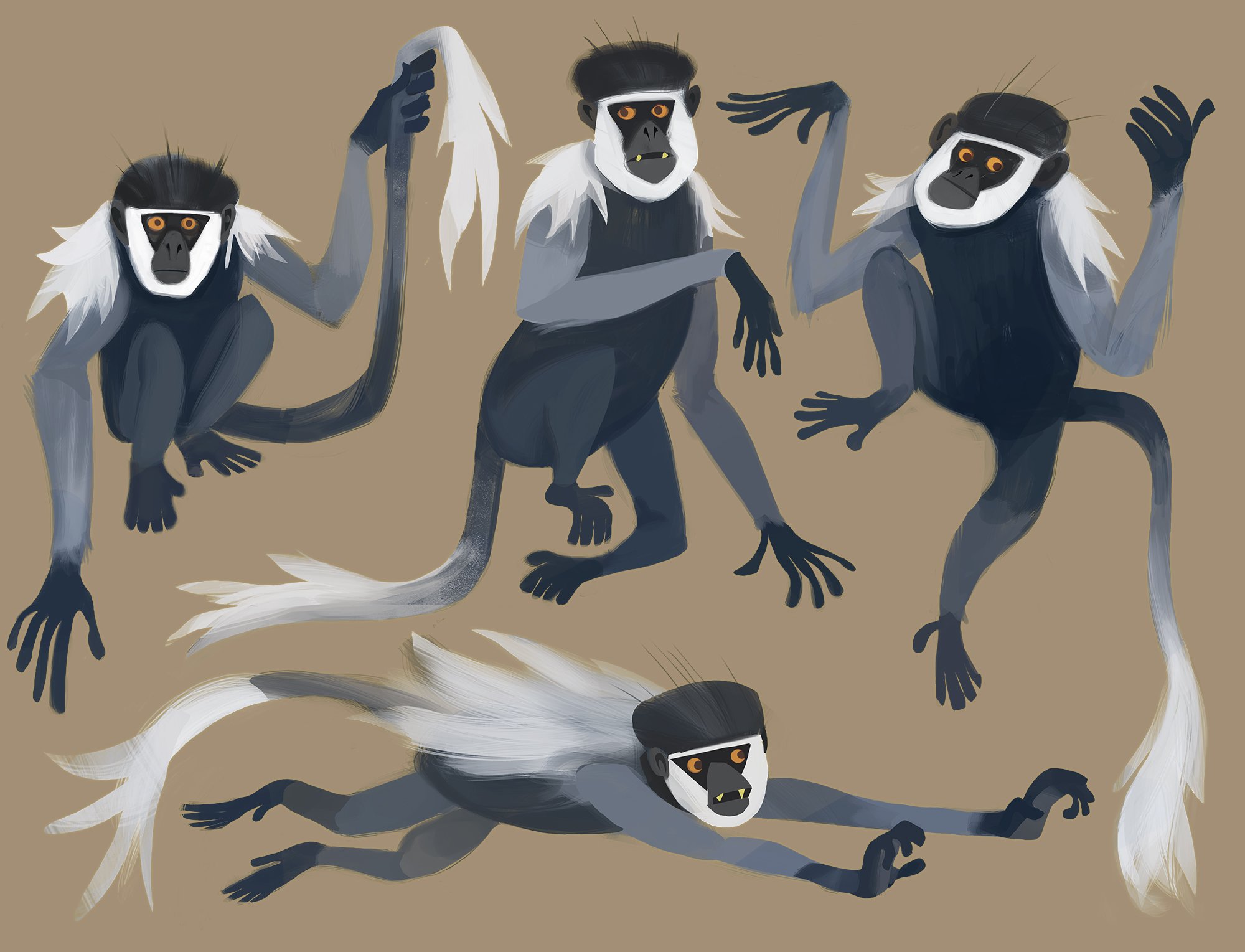Monkey.jpg