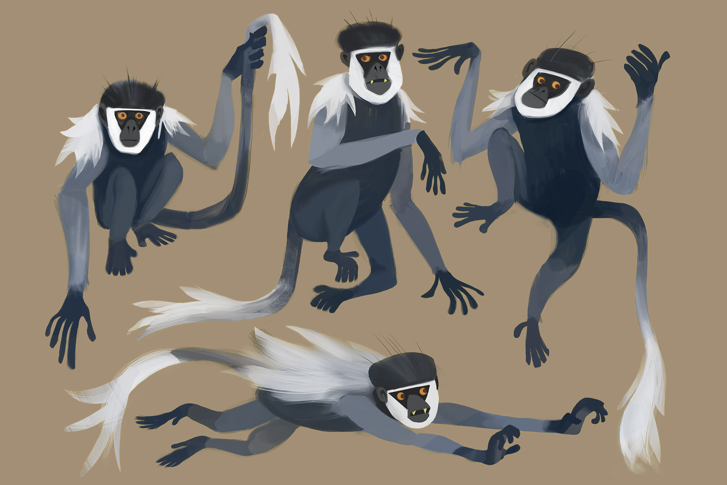 Monkey.png