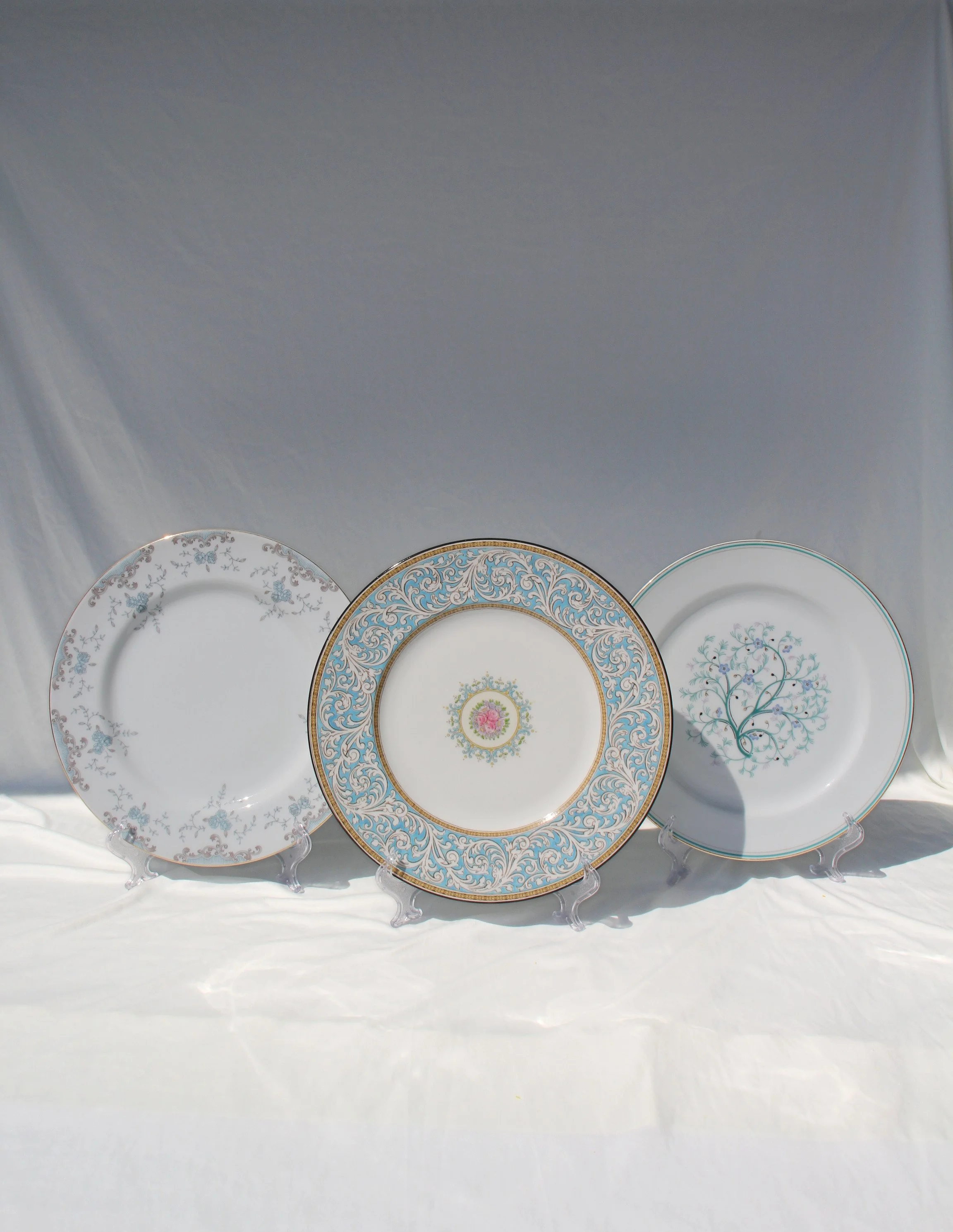 Blue Mixed Plates