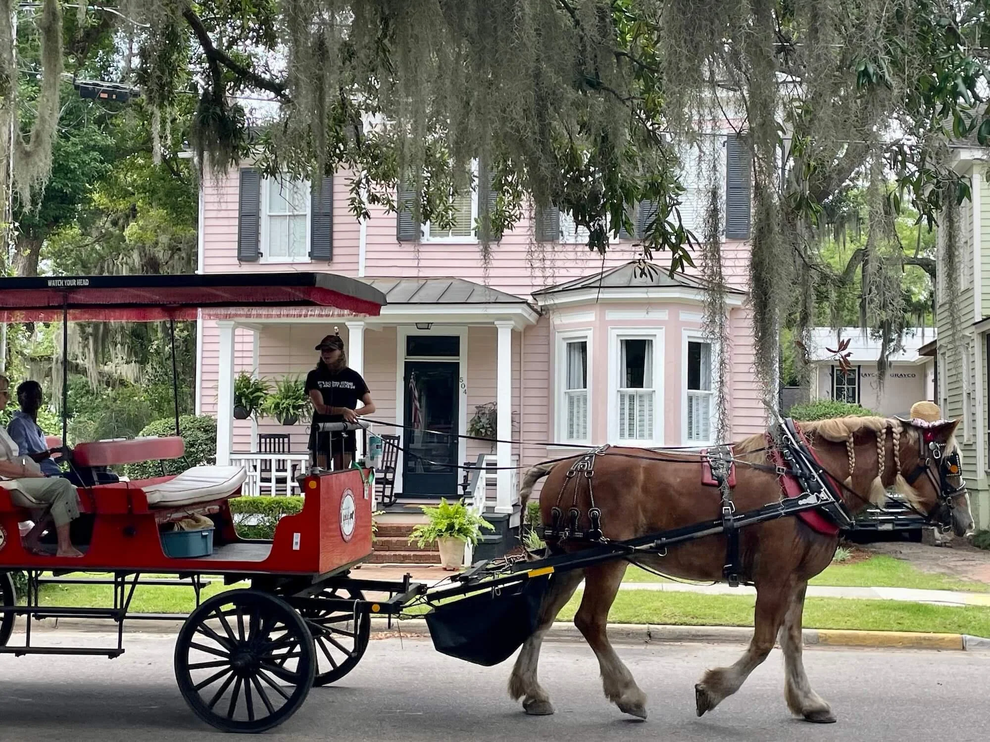 Horse Carriage Downtown Beaufort.jpeg