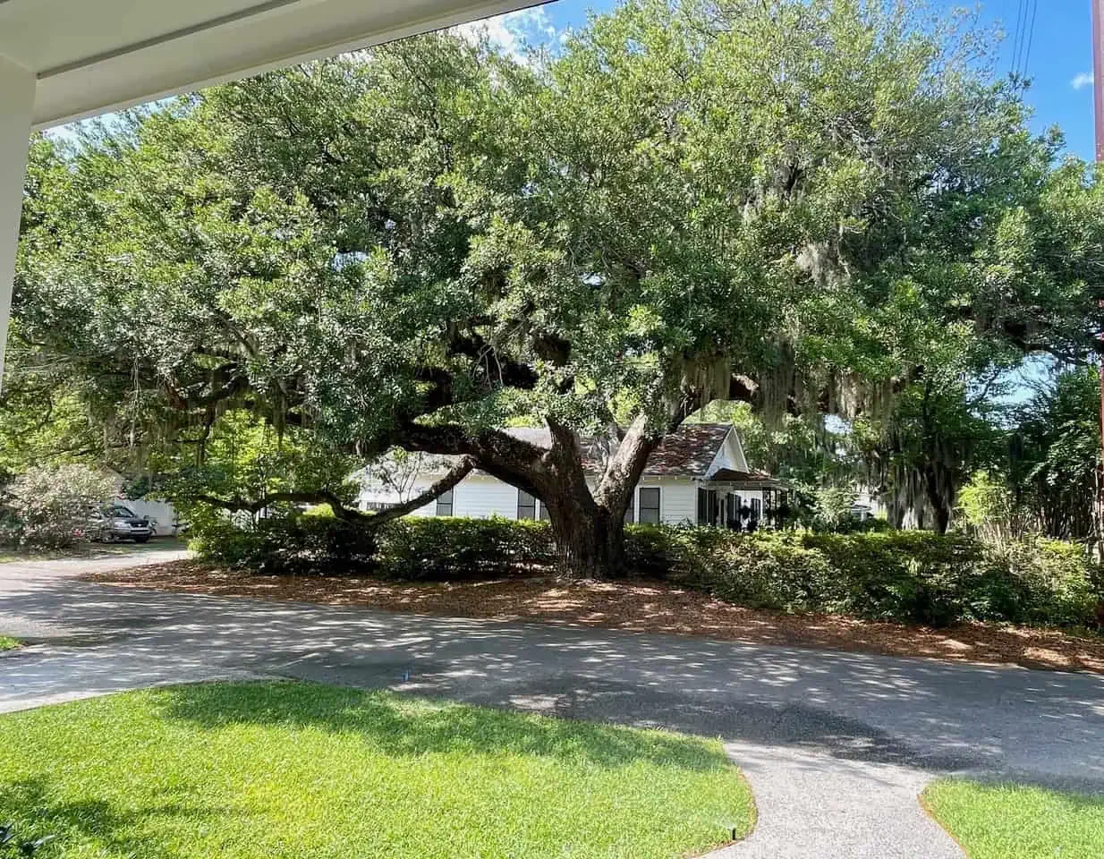 palm-cottage-magnolia-court-suites-beaufort-1000111.webp