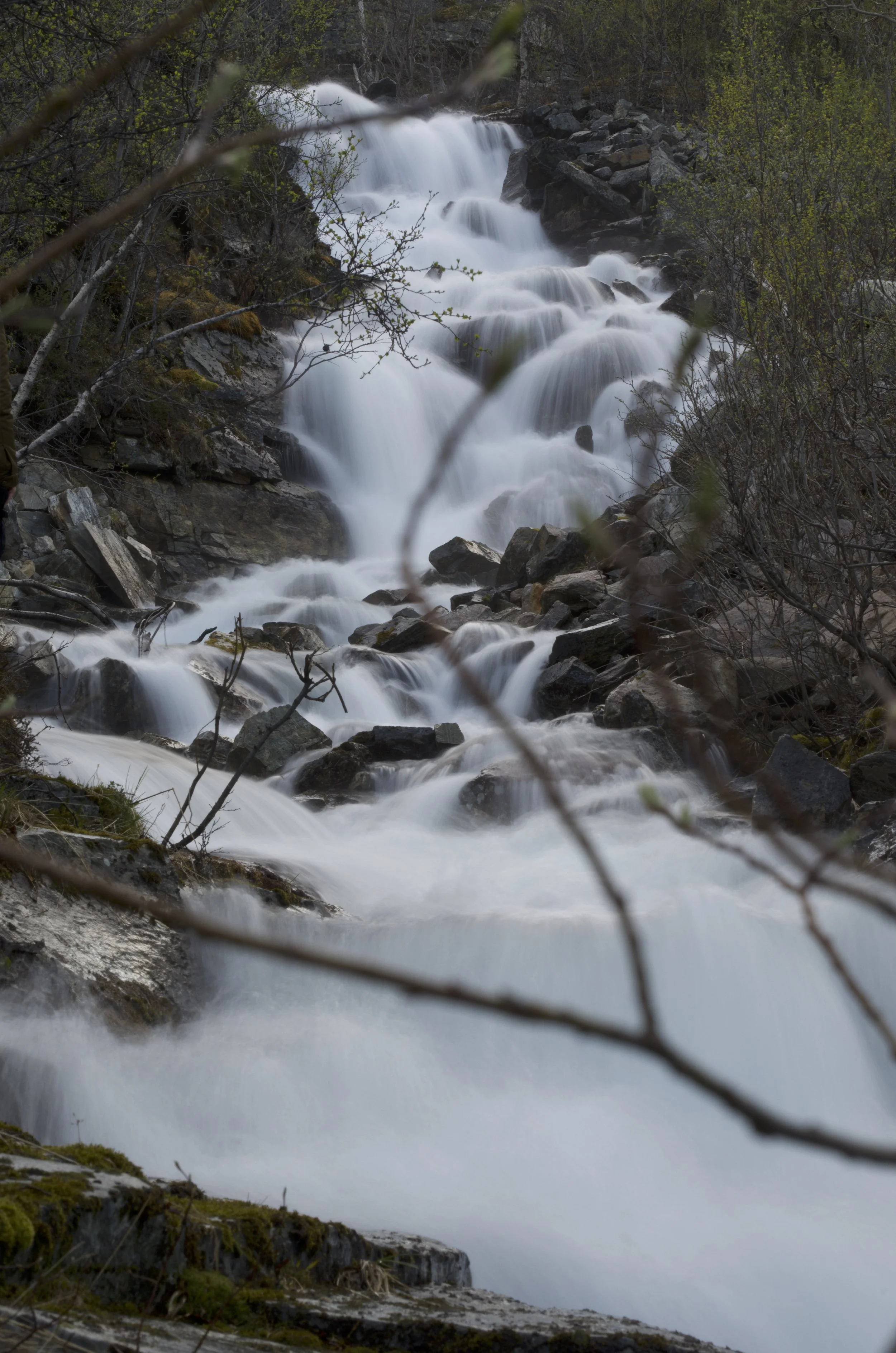 DSC_0956.jpg