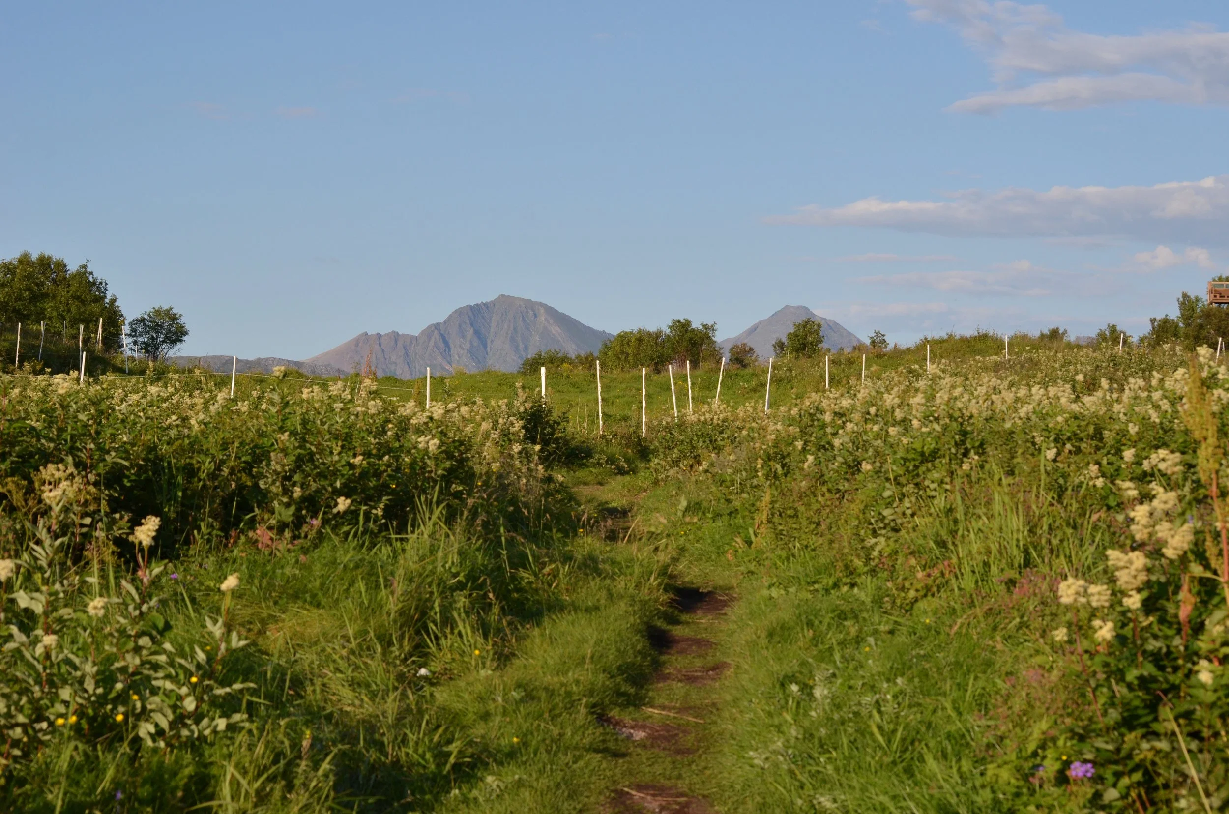 DSC_0449.jpg