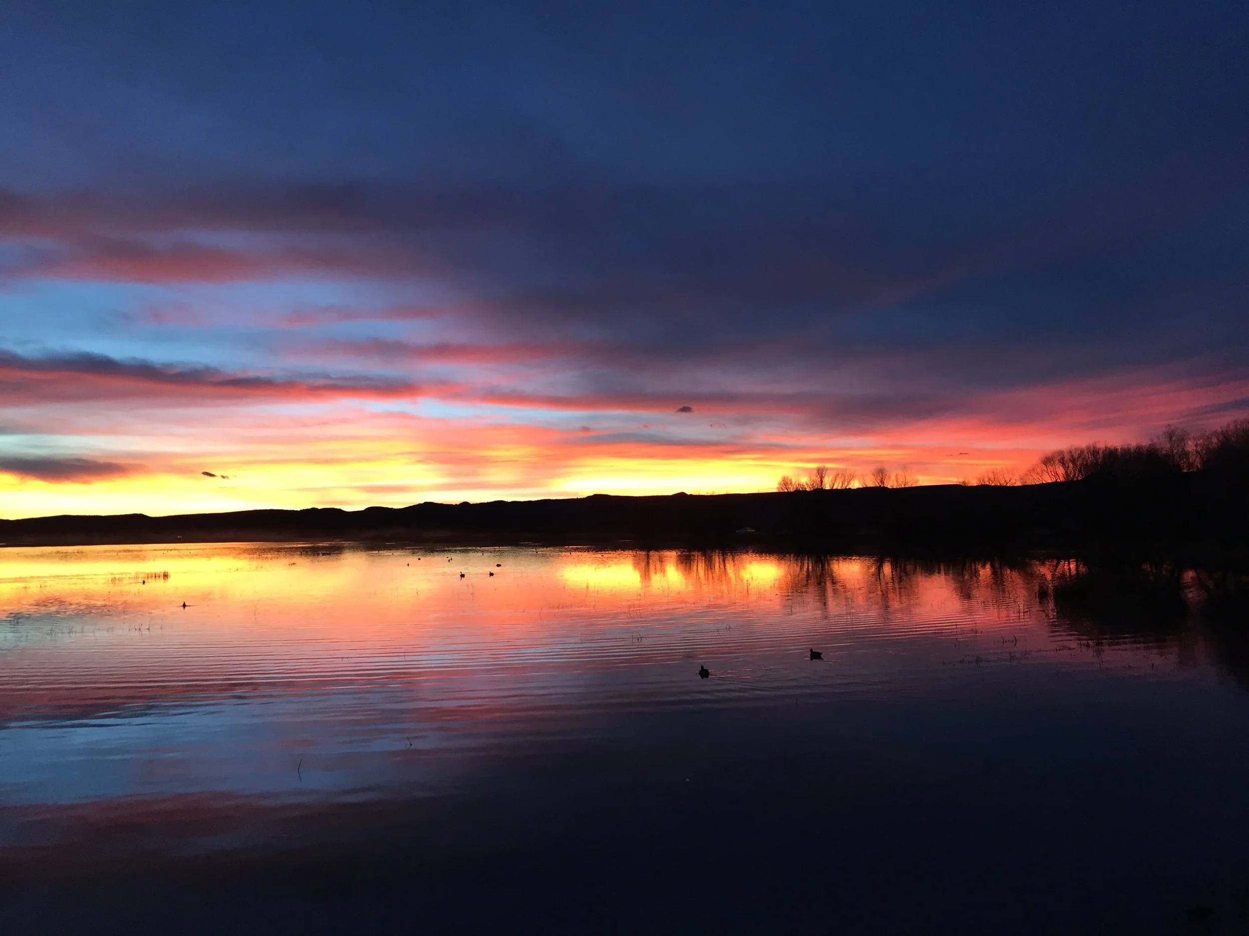 JR Seeger Bosque del Apache Sunsets IMG_1998.JPG