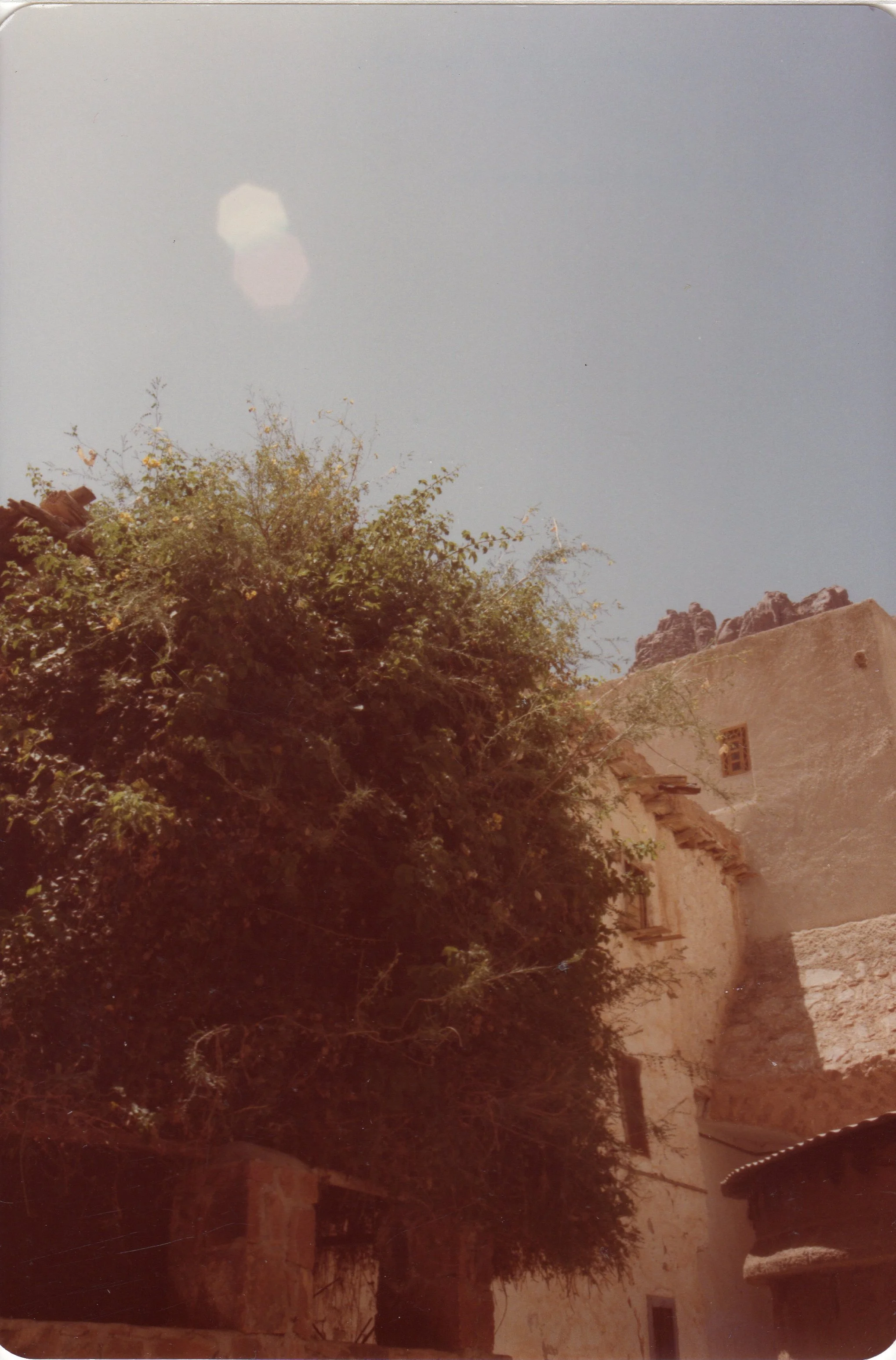 egypt-sinai (15).JPG