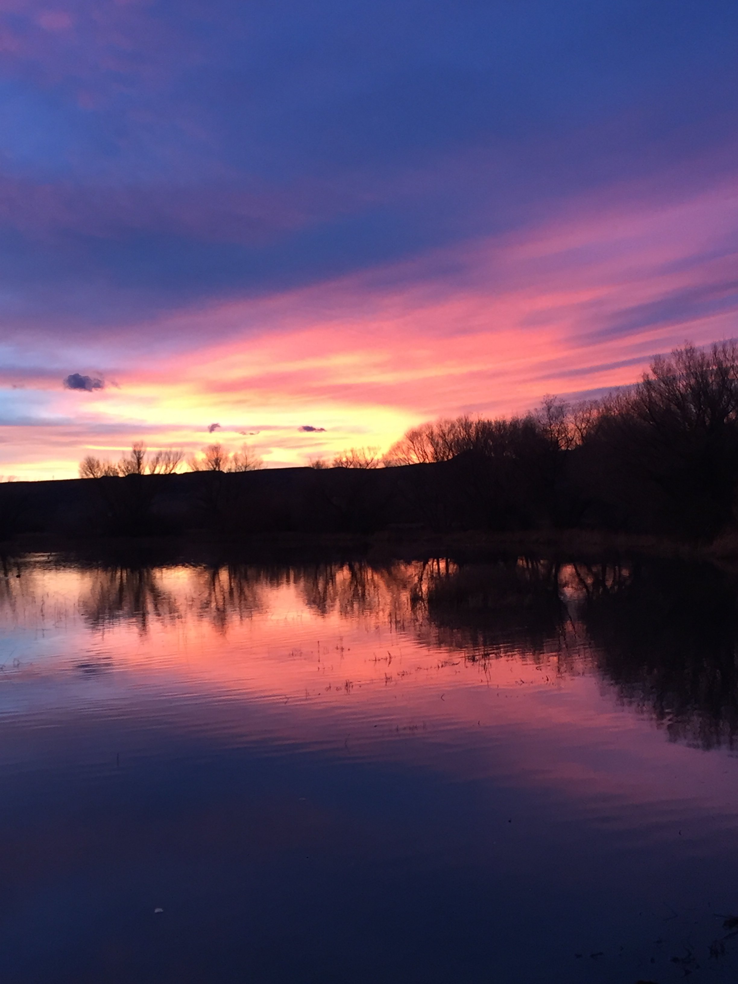 JR Seeger Bosque del Apache Sunsets IMG_1988.JPG