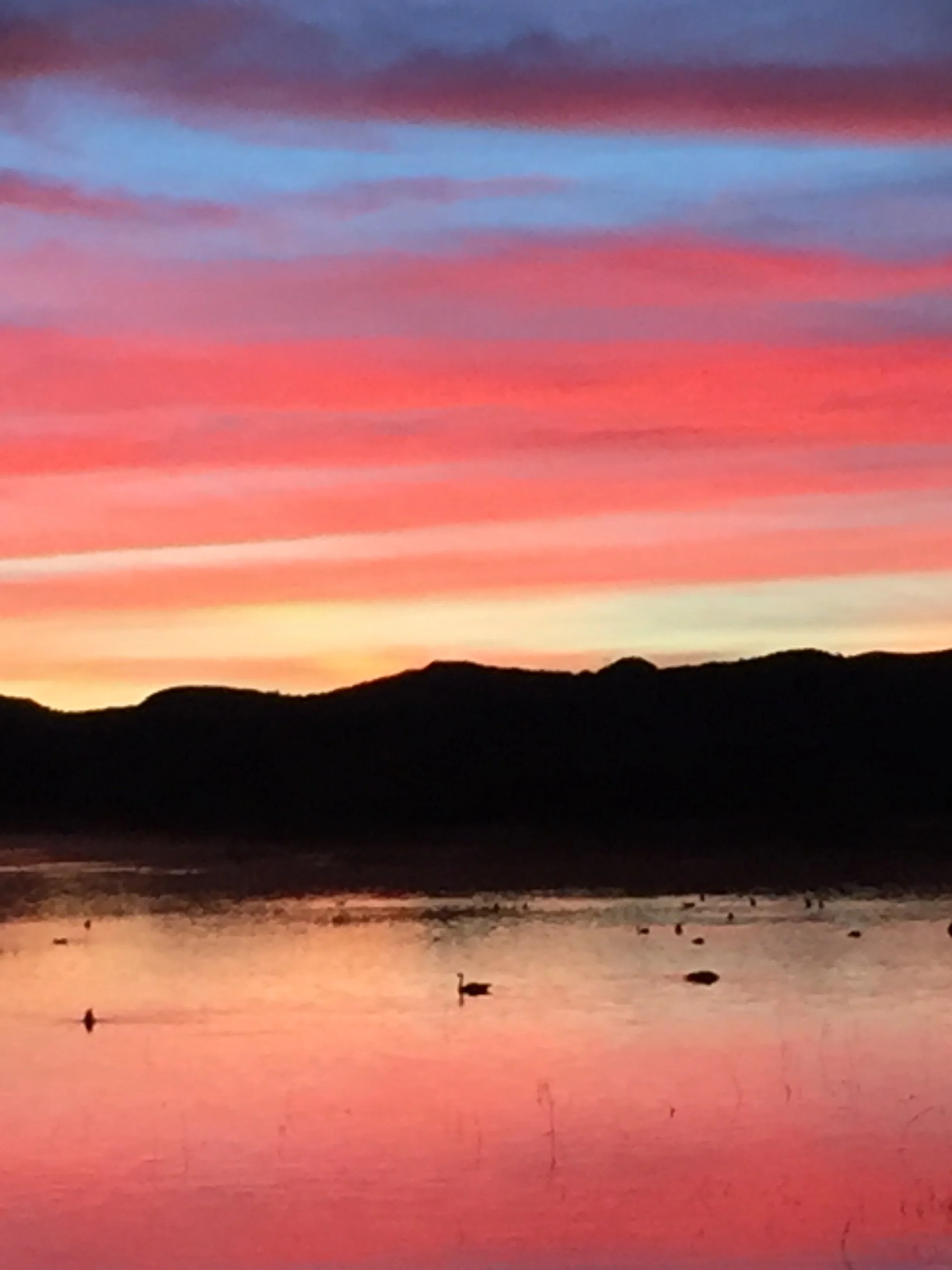 JR Seeger Bosque del Apache Sunsets IMG_2004.JPG