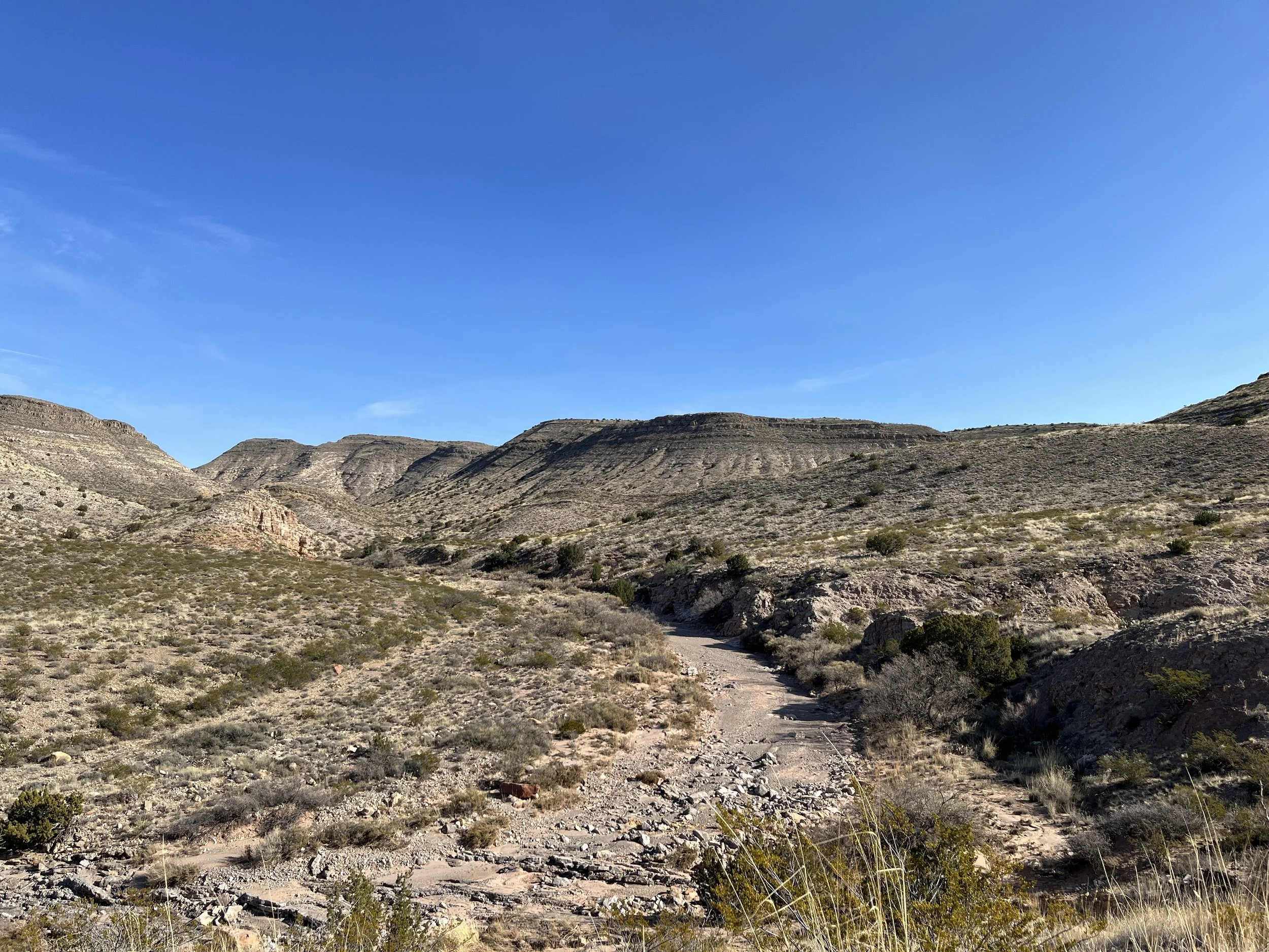 JR Seeger Author High Desert New Mexico6.JPG