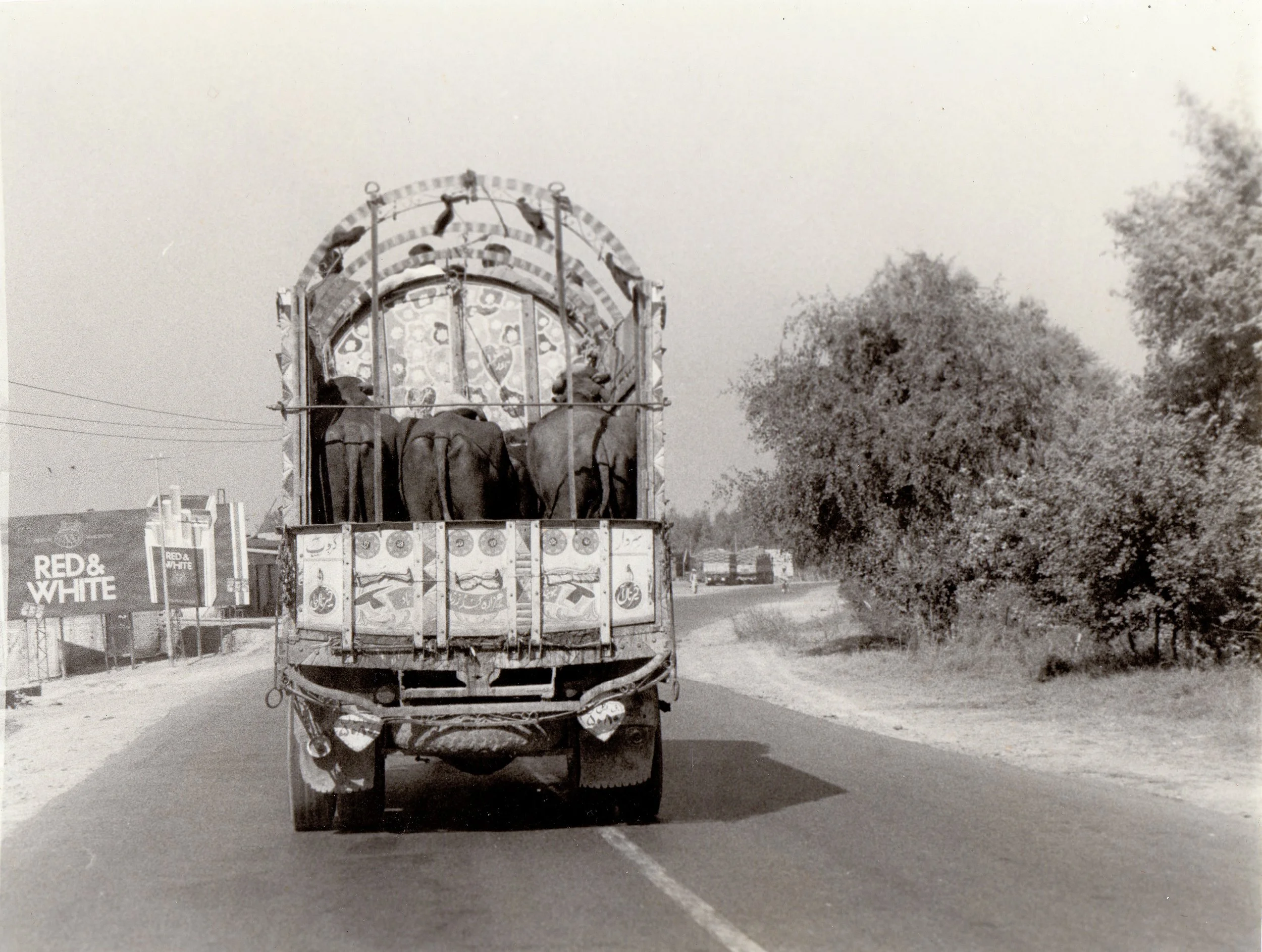 jr-seeger-author-photography-pakistan-grandtrunk.JPG