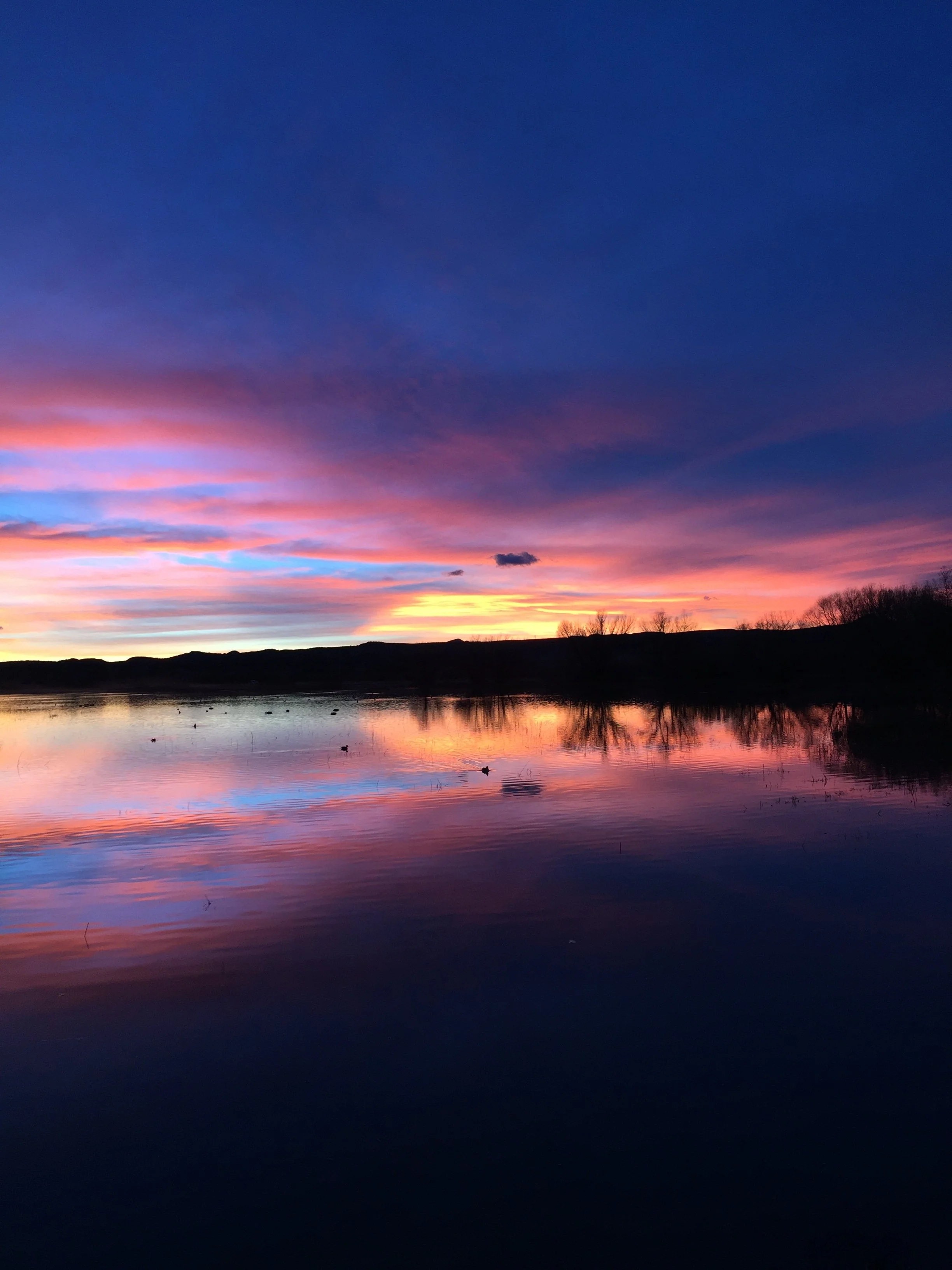 JR Seeger Bosque del Apache Sunsets IMG_1994.JPG
