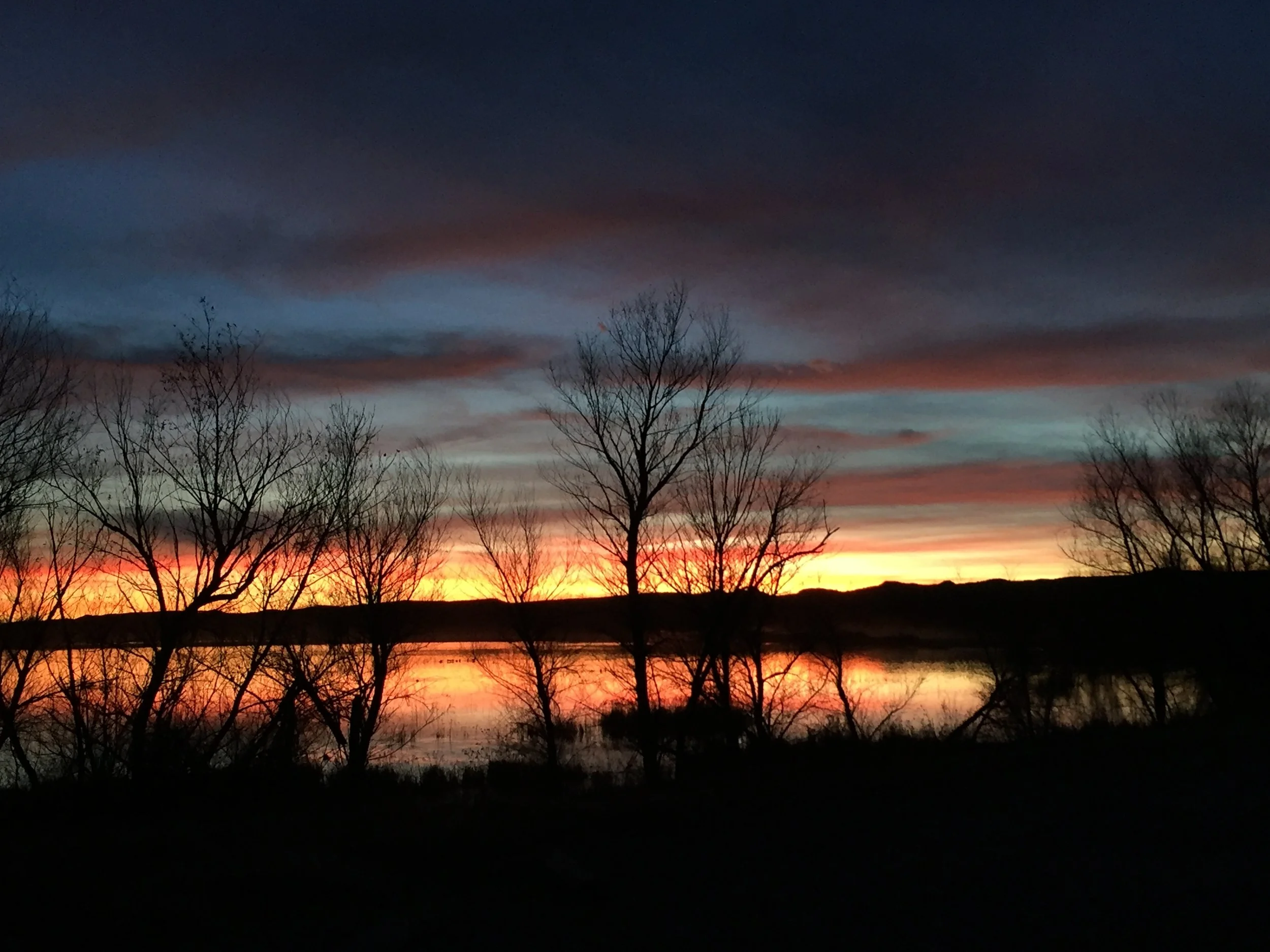 JR Seeger Bosque del Apache Sunsets IMG_2006.JPG