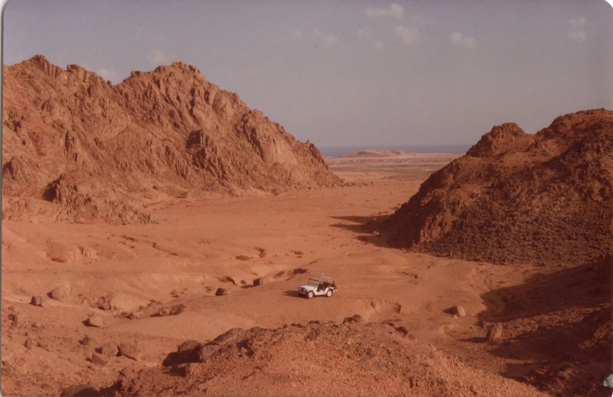 Sinai Peacekeeping in the 1980s