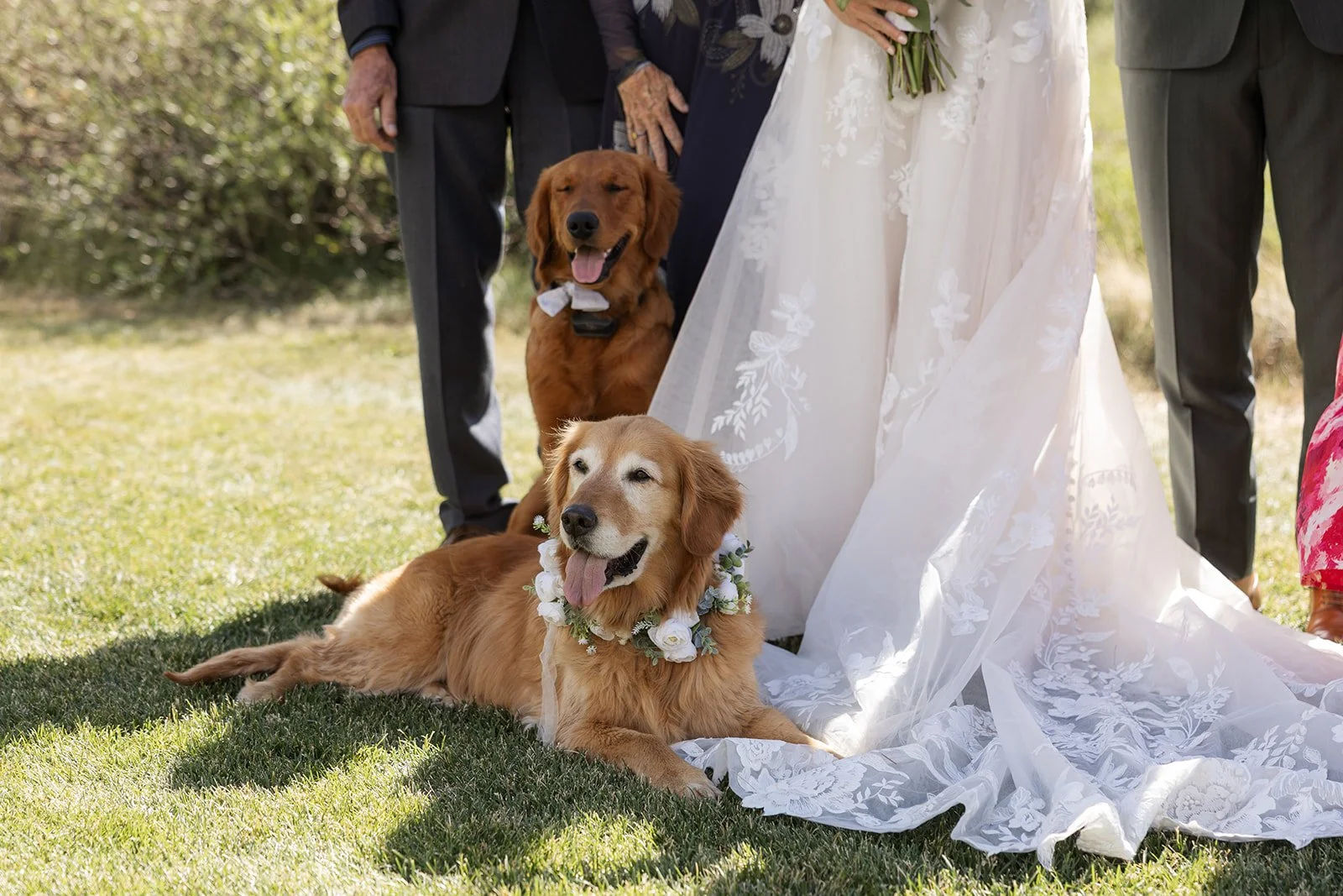 M + T: Photo by Greenhouse Creative Studios