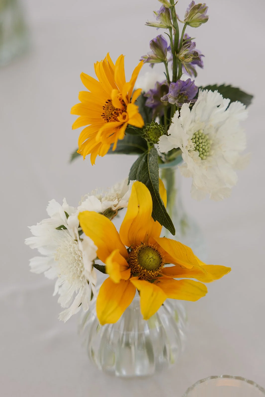 M + T: Photo by Greenhouse Creative Studios