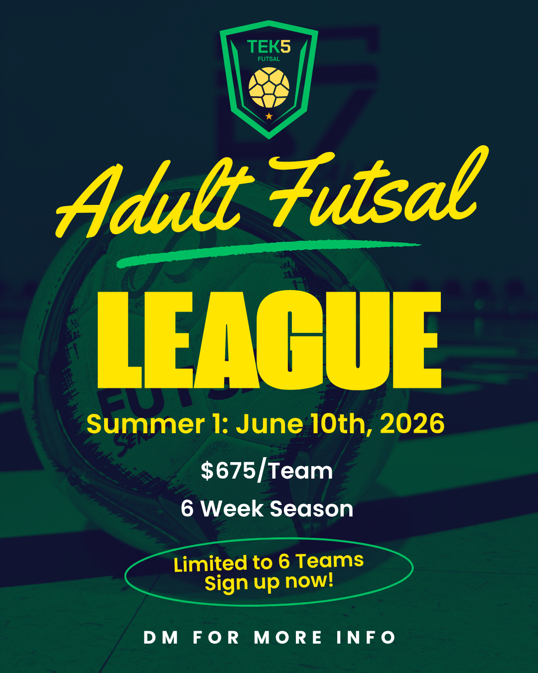 Adult Futsal League : Summer 1