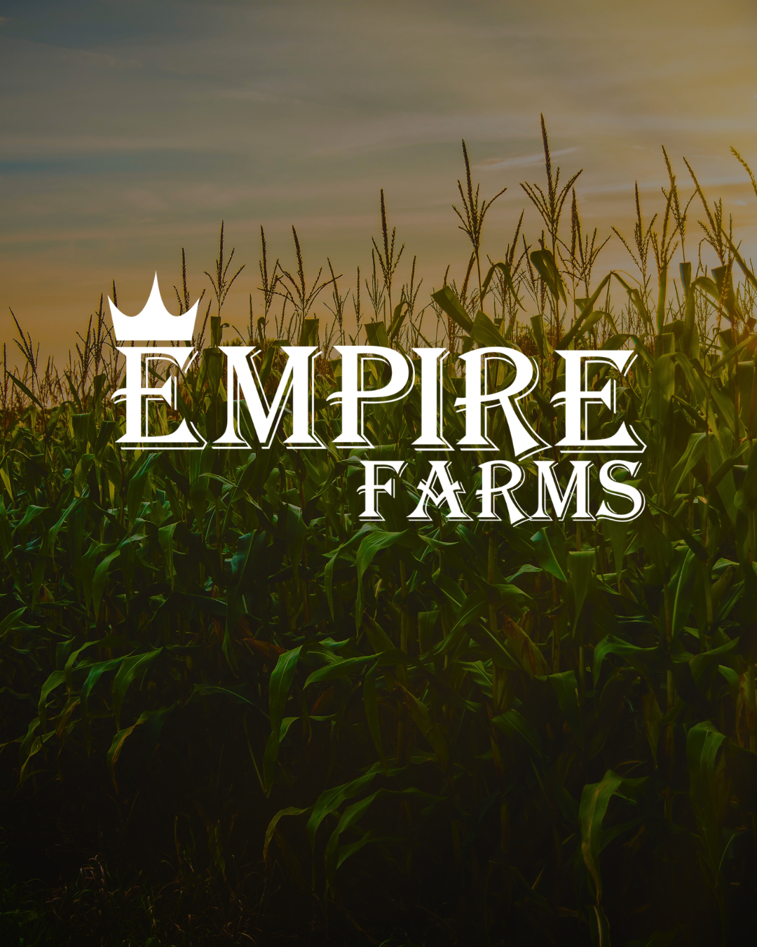 Empire Farms logo over corn field at sunset