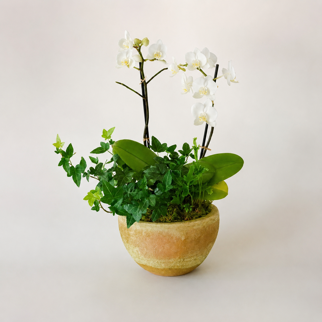 file_000000003060722fb48afcf6adfa6e39 (1).png