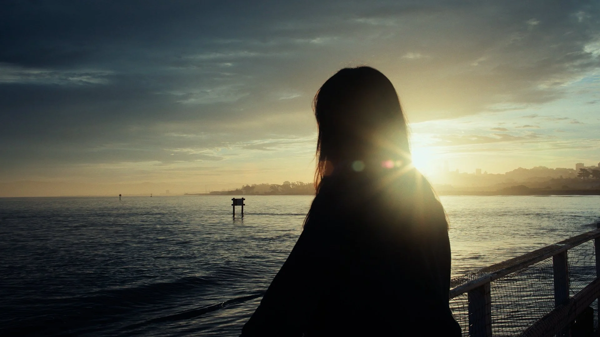 Artist Diane Dallas-Kidd looking at the bay and city skyline in San Francisco, CA