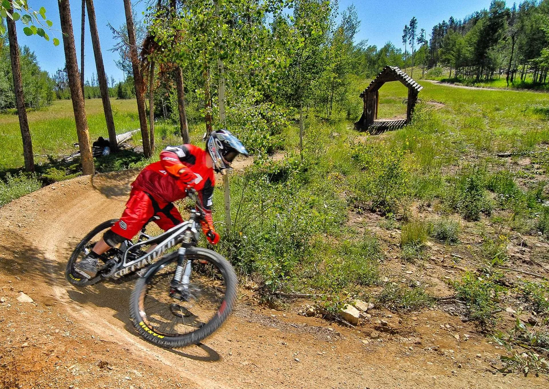 A person wearing a red and black biking outfit and helmet riding a mountain bike on a dirt trail through a green forest.