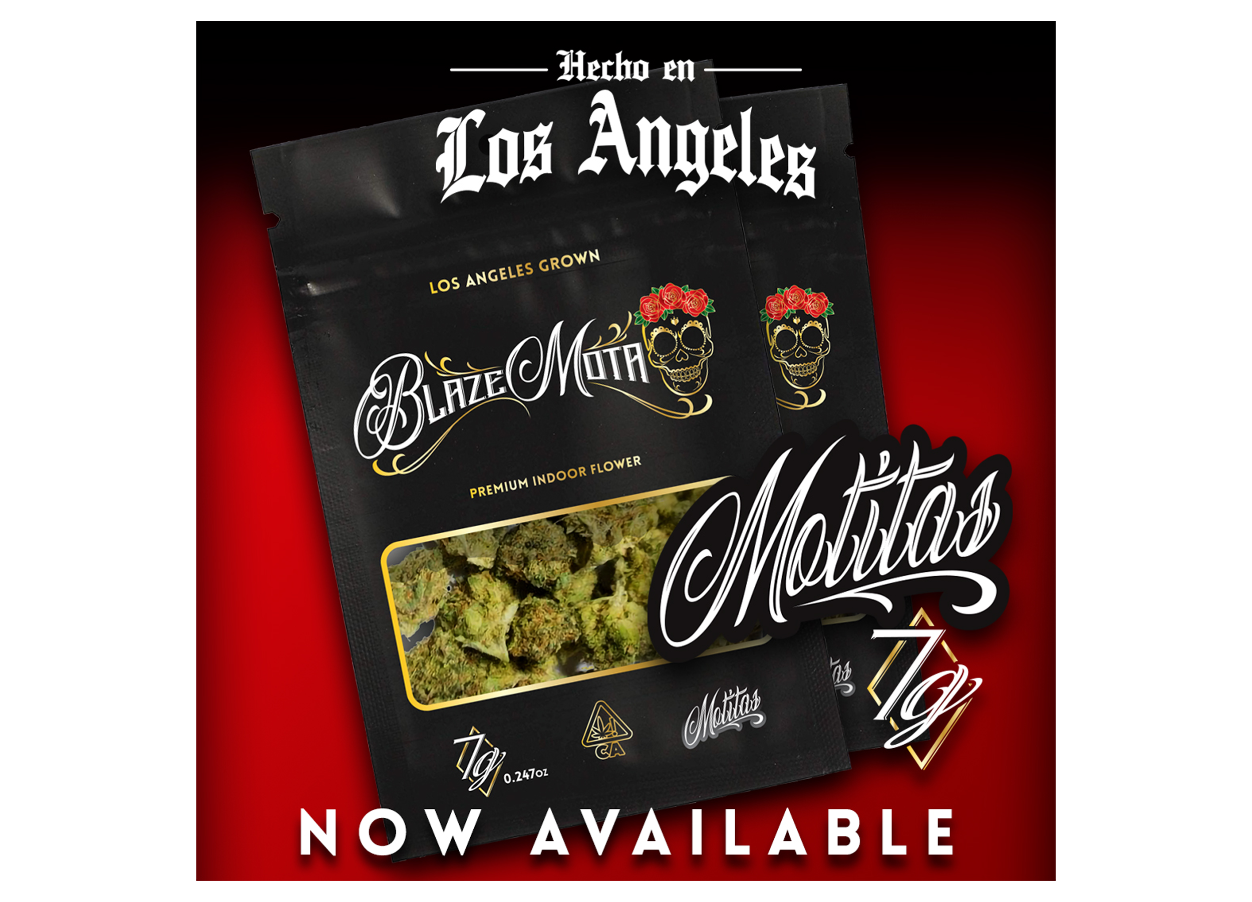 blaze-mota_02_1800x2500.png