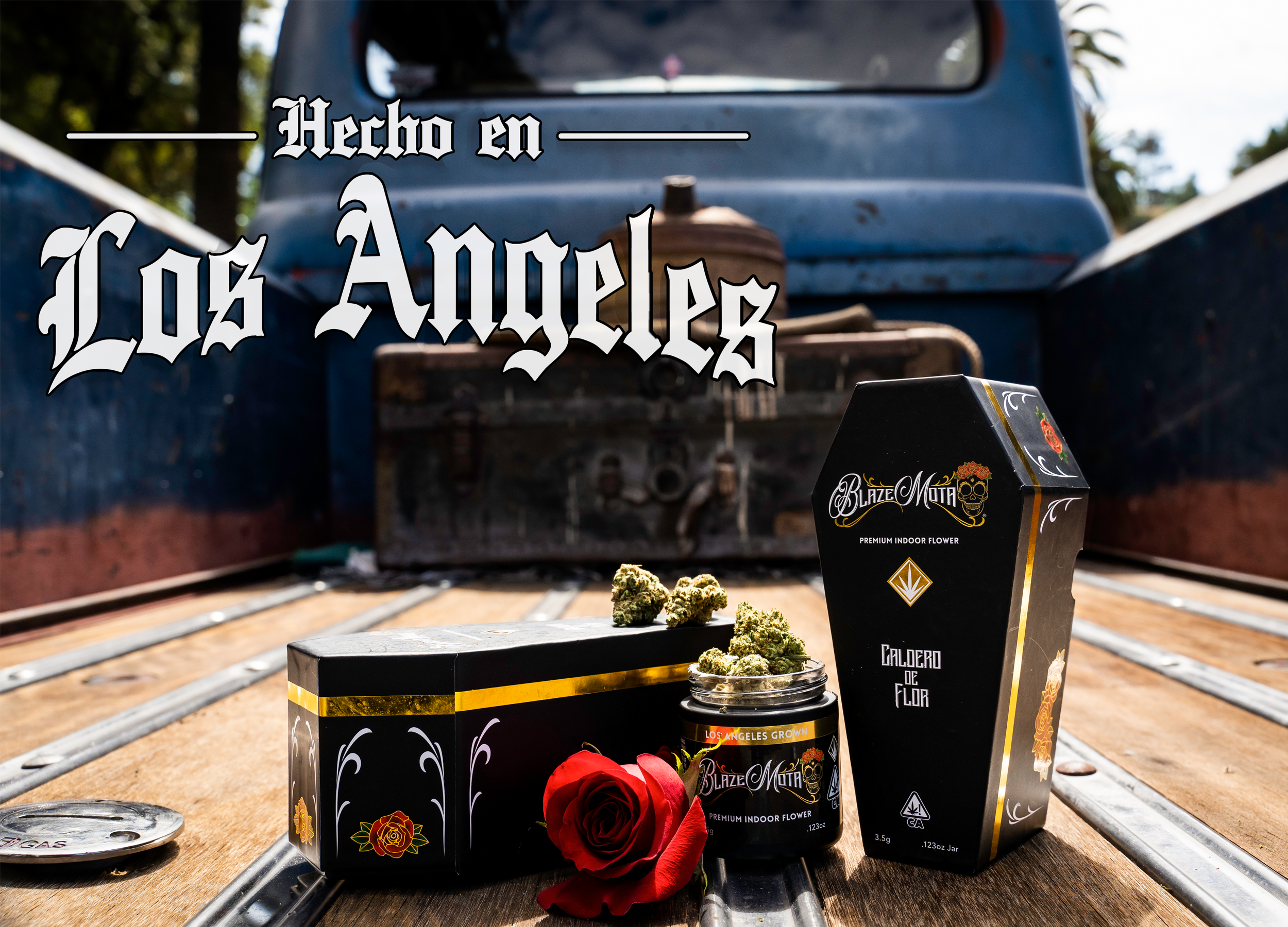 blaze-mota_coffin_grp_01_1800x2500.png