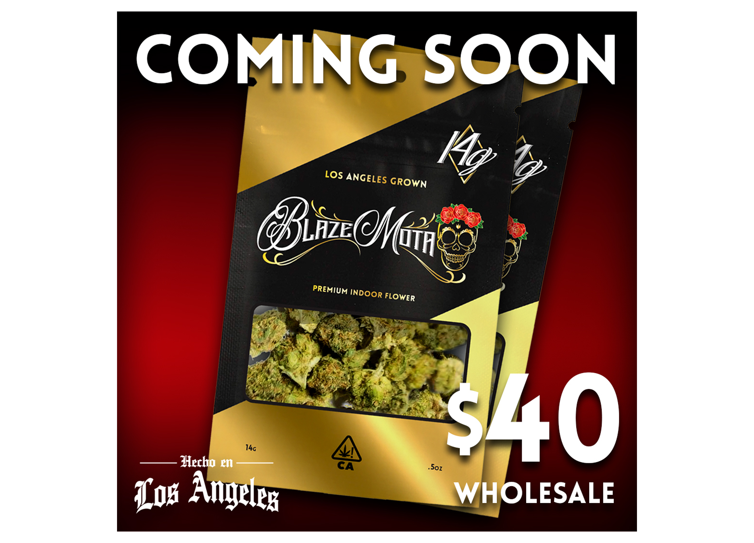 blaze-mota_03_1800x2500.png