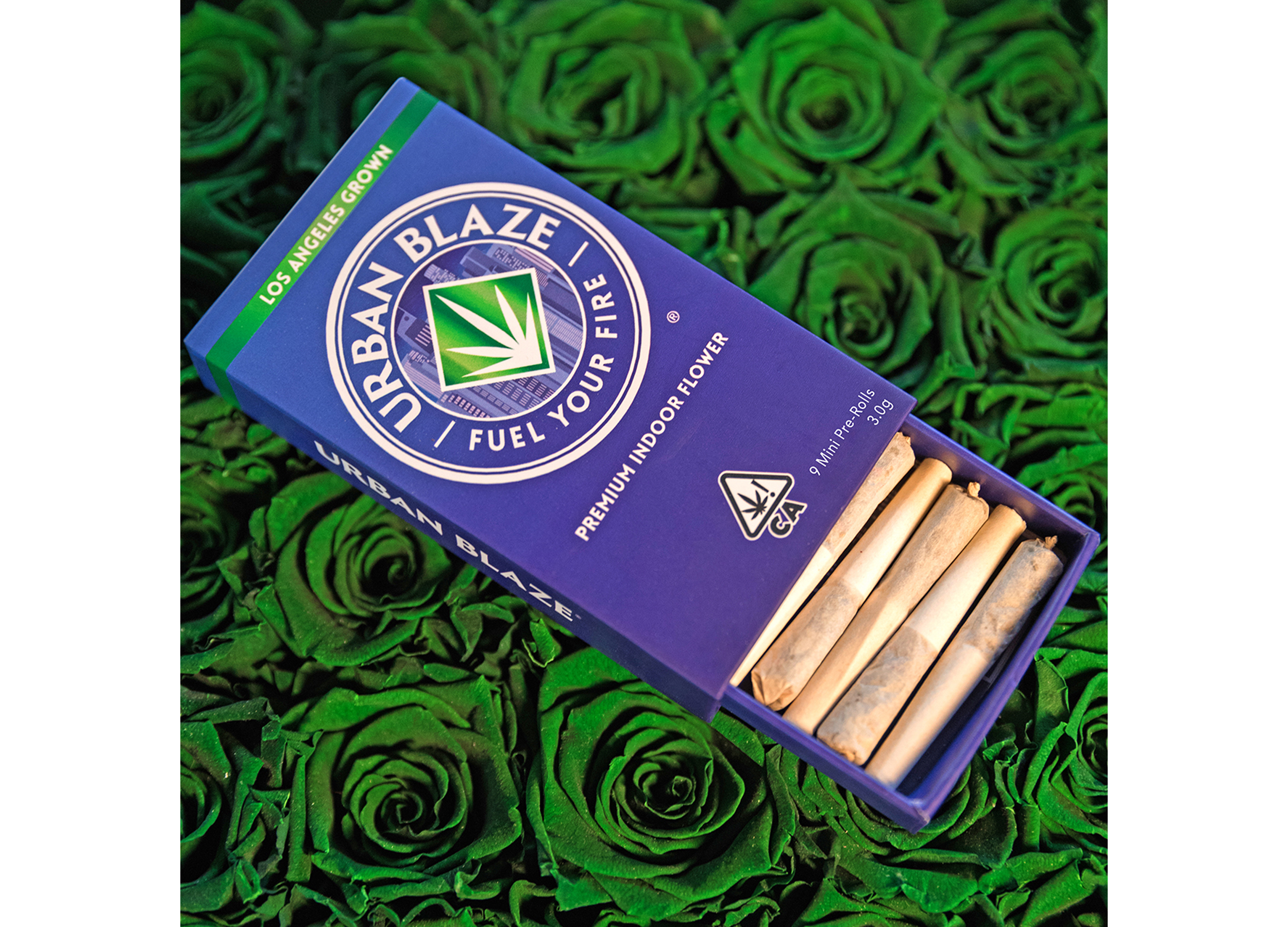 urban-blaze_mini_1800x2500.png