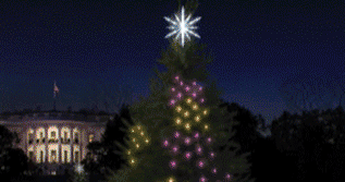 Holiday Lights
