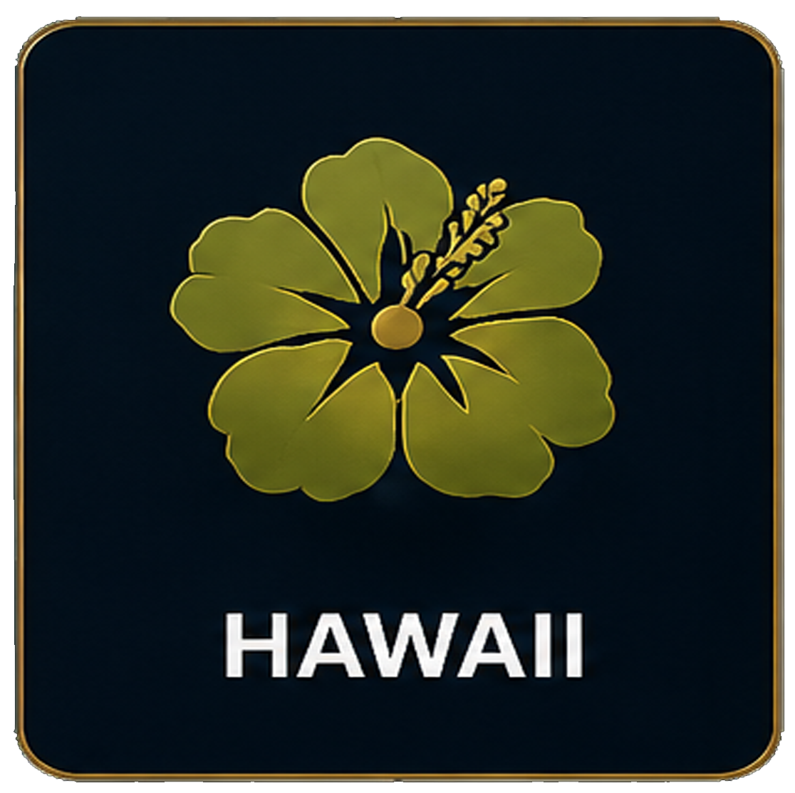hawaii.png