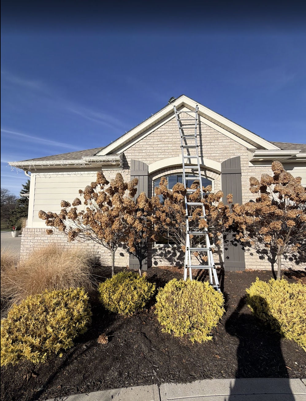 A house with a ladder leaning against the roof, small trees, and bushes in the front yard under a clear blue sky.