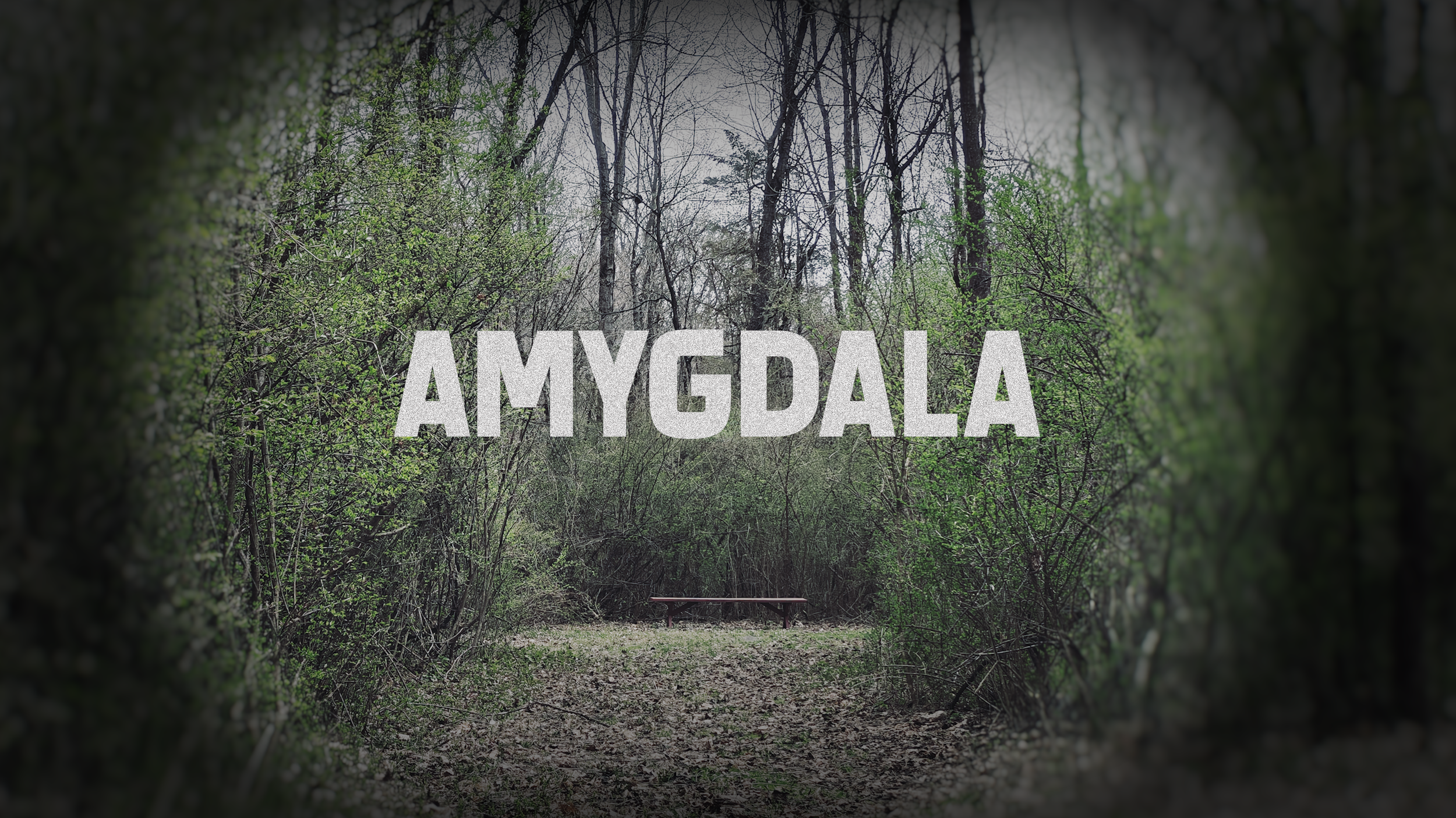 AMYGDALA cover.png
