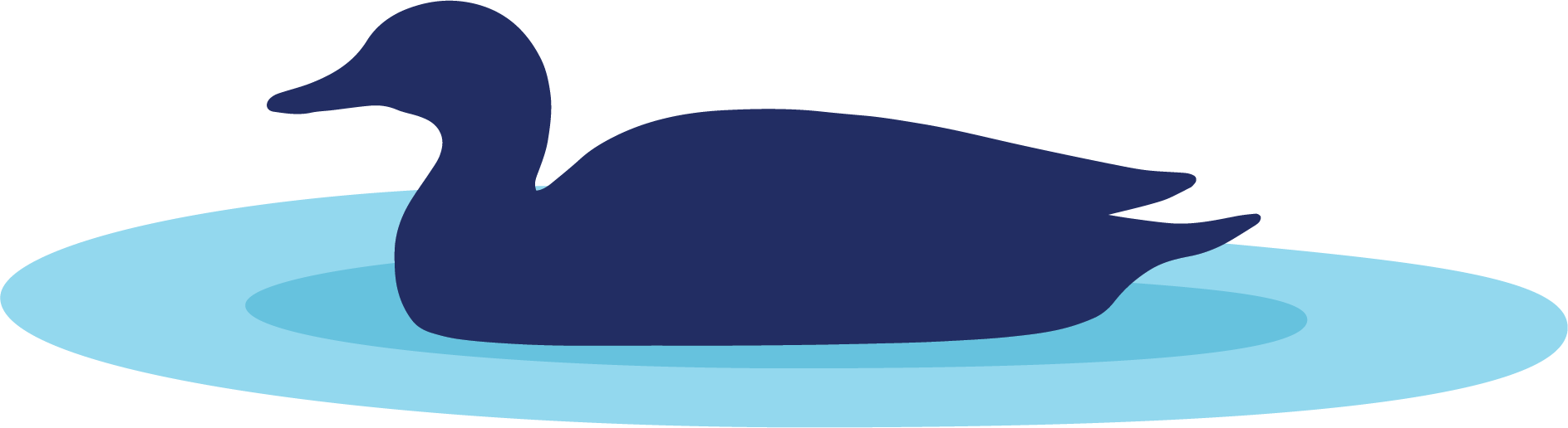 A navy blue duck swimming on light blue water.