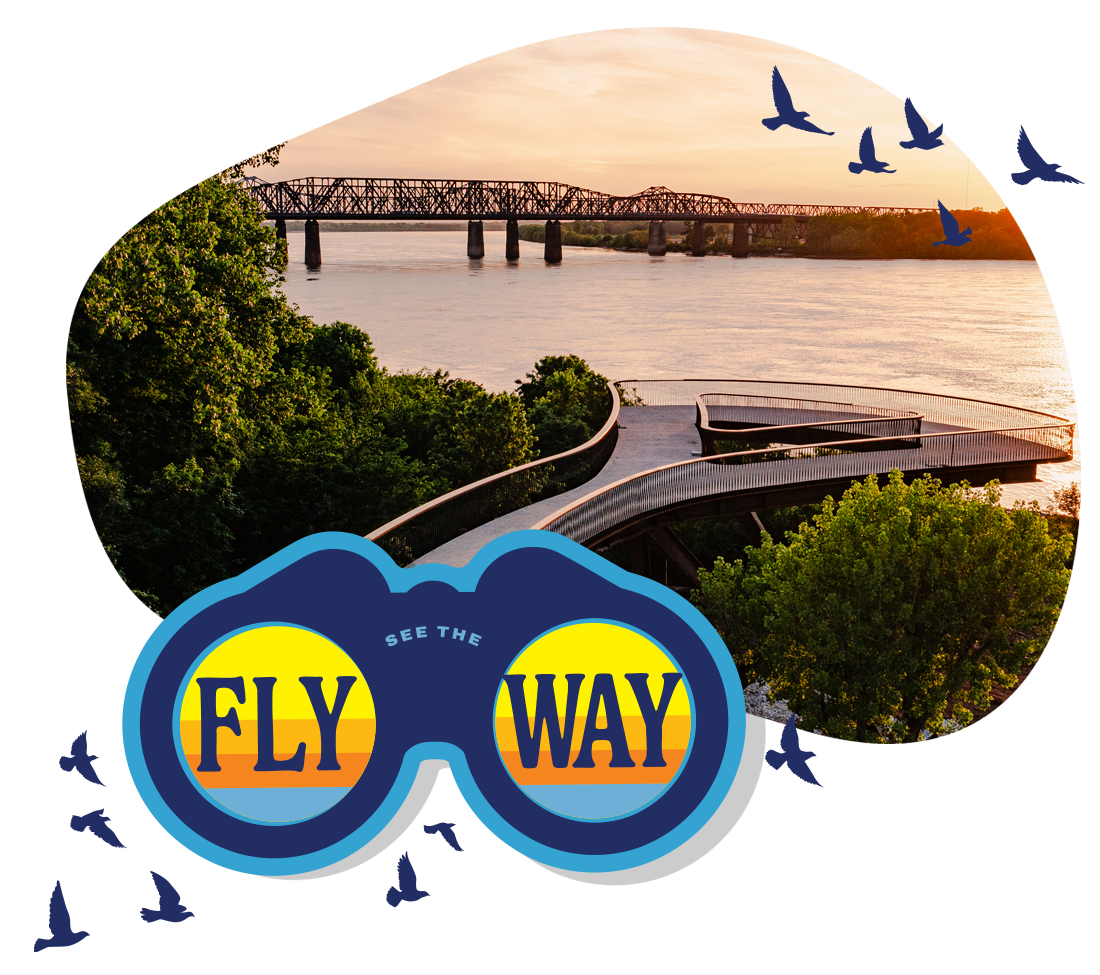 FlyWay.png