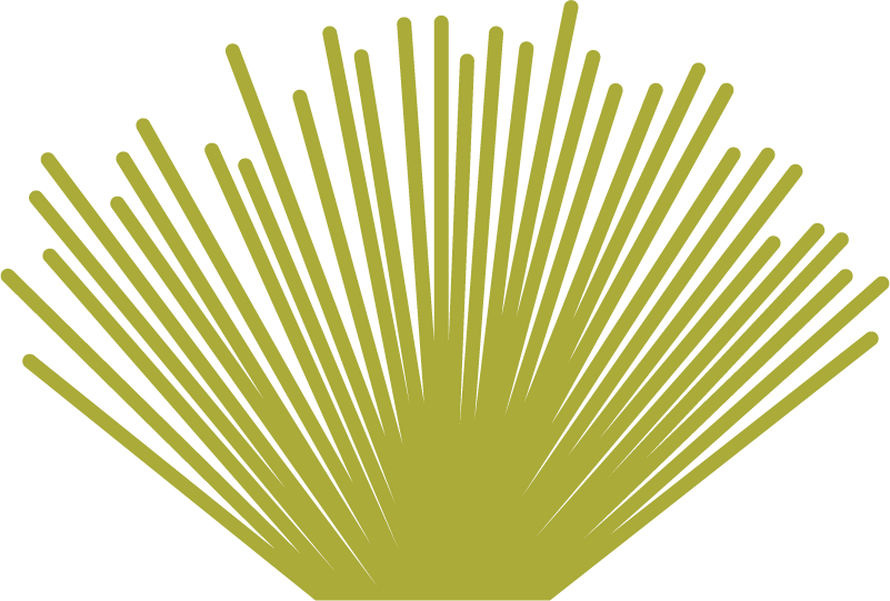 Green stylized fan with radiating linear design against a black background.