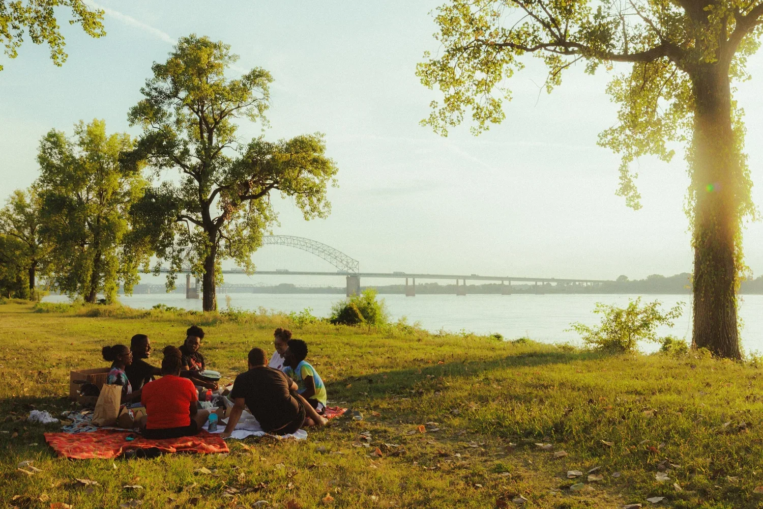 Group of people having a picnic on a grassy riverside with several large trees, a bridge in the background, and calm water under a sunny sky.