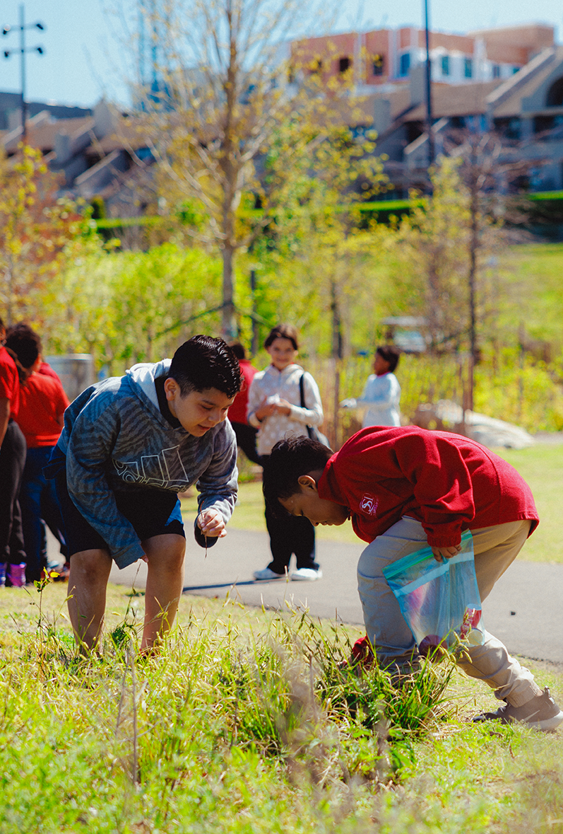 Children examining plants in a grassy outdoor area during daytime, with trees and residential buildings in the background.