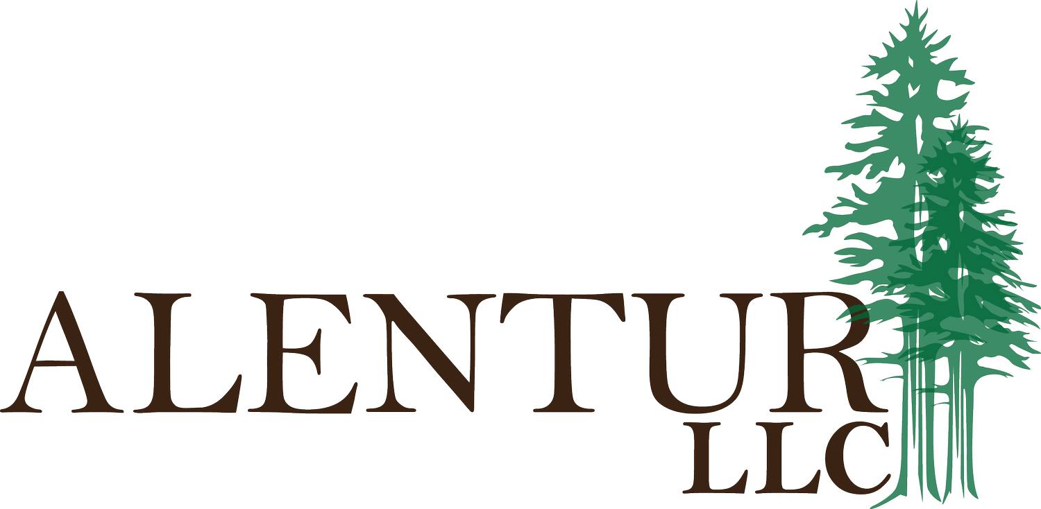 Alentur LLC