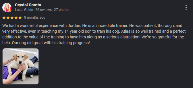 Photo of a tired labrador retriever dog after training and mental stimulation