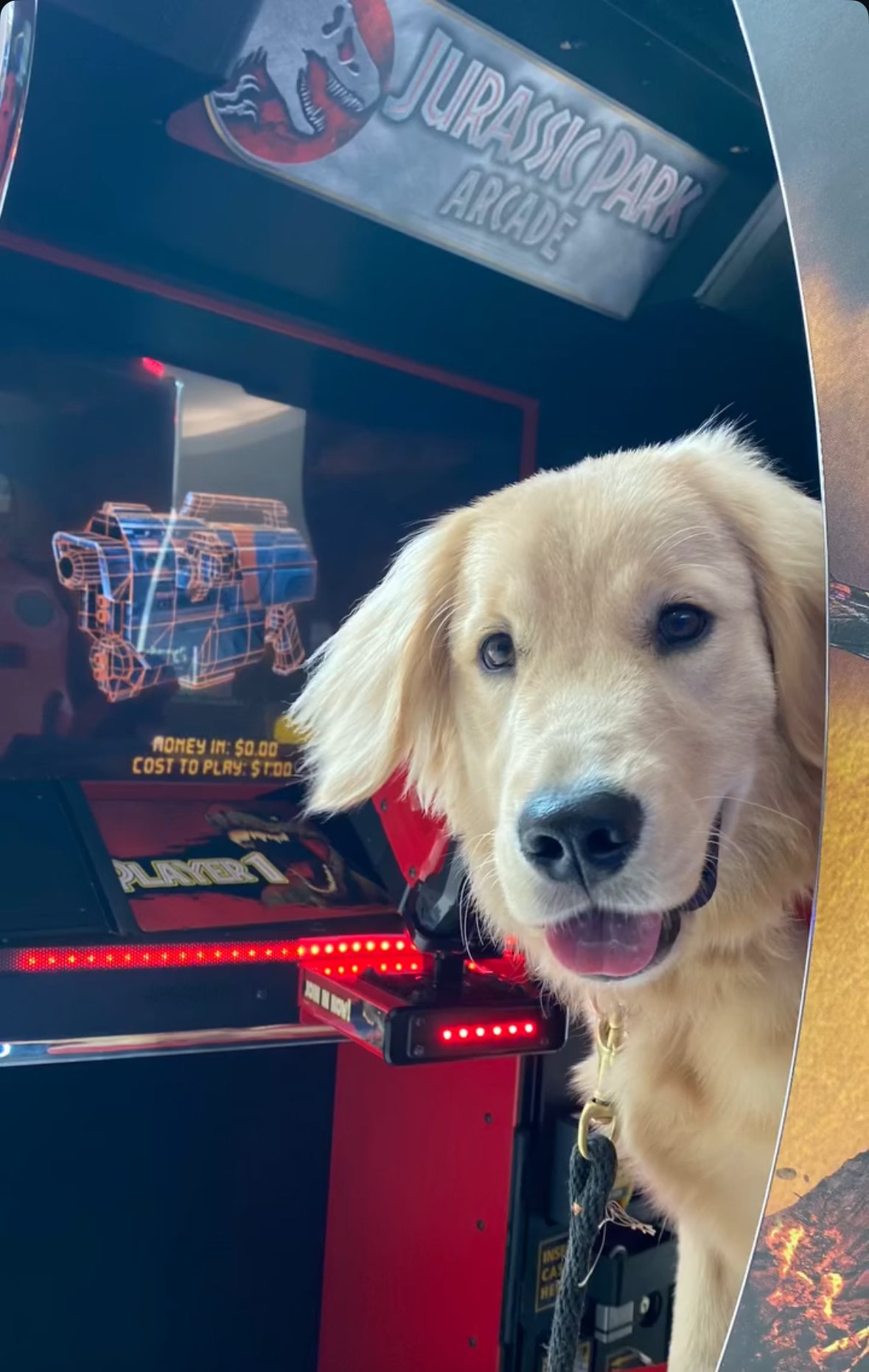 A golden retriever dog standing in front of a Jurassic Park arcade game at an arcade. The dog is looking at the camera with its tongue slightly out.