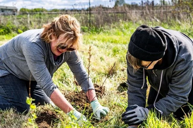 WWCCD leads volunteers with restoration planting