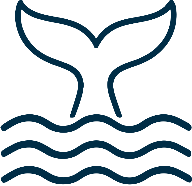 Outline of a whale tail emerging from water with three wavy lines indicating water.
