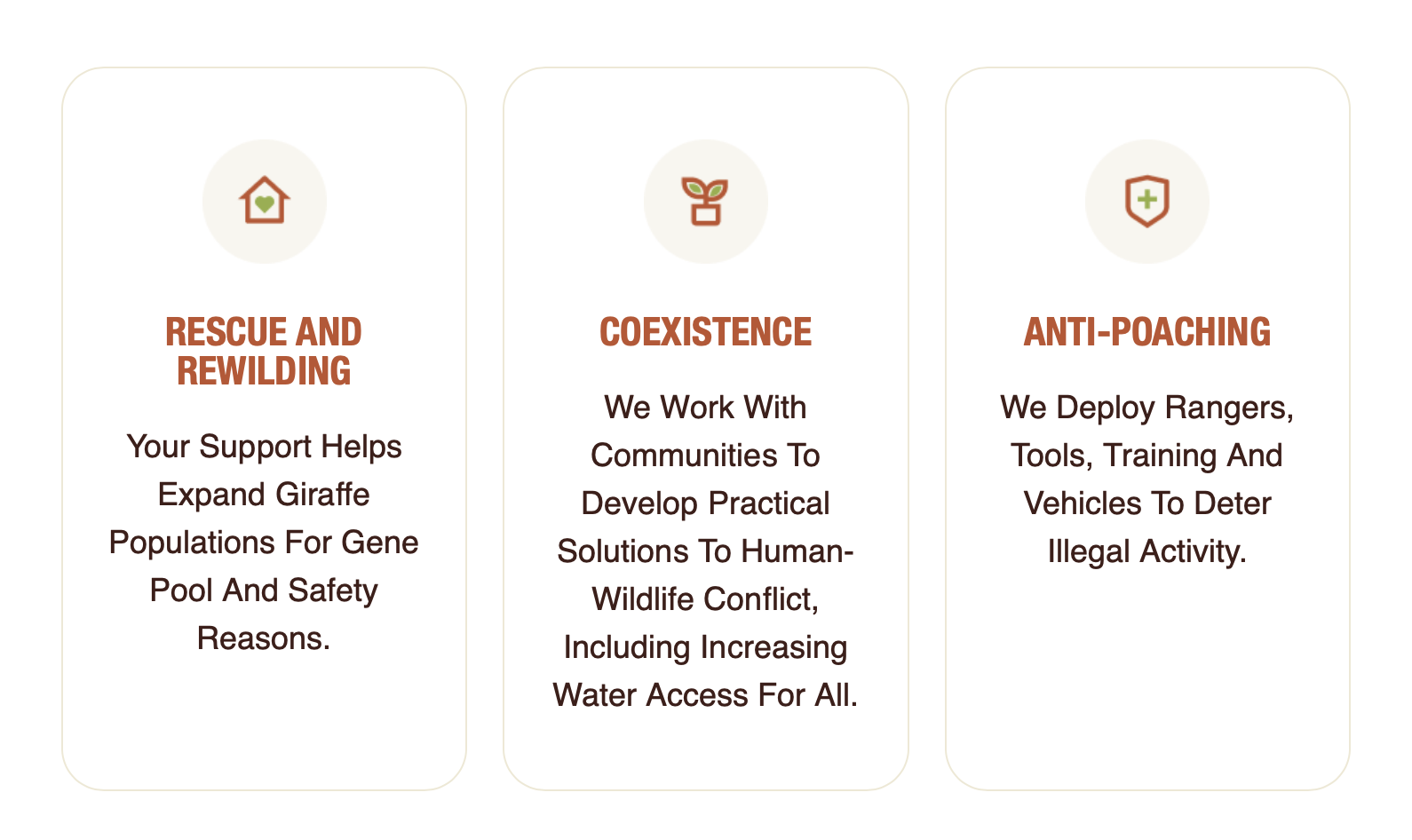 An infographic with three sections titled 'Rescue and Rewilding', 'Coexistence', and 'Anti-Poaching', each with icons and descriptions about wildlife conservation efforts.