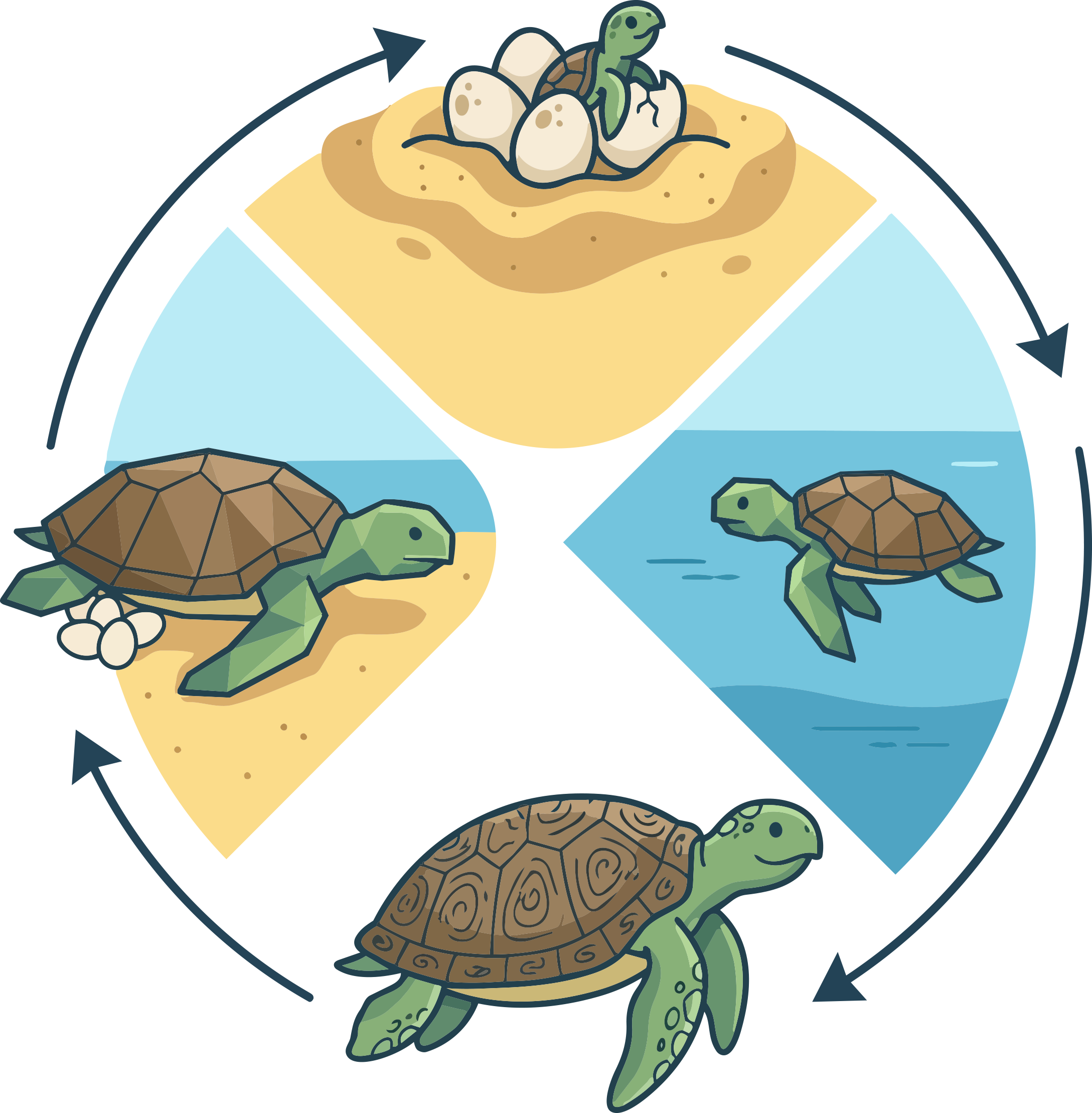 Illustration of a turtle with a turtle hatchling on its shell inside the outline of the continent of Africa.