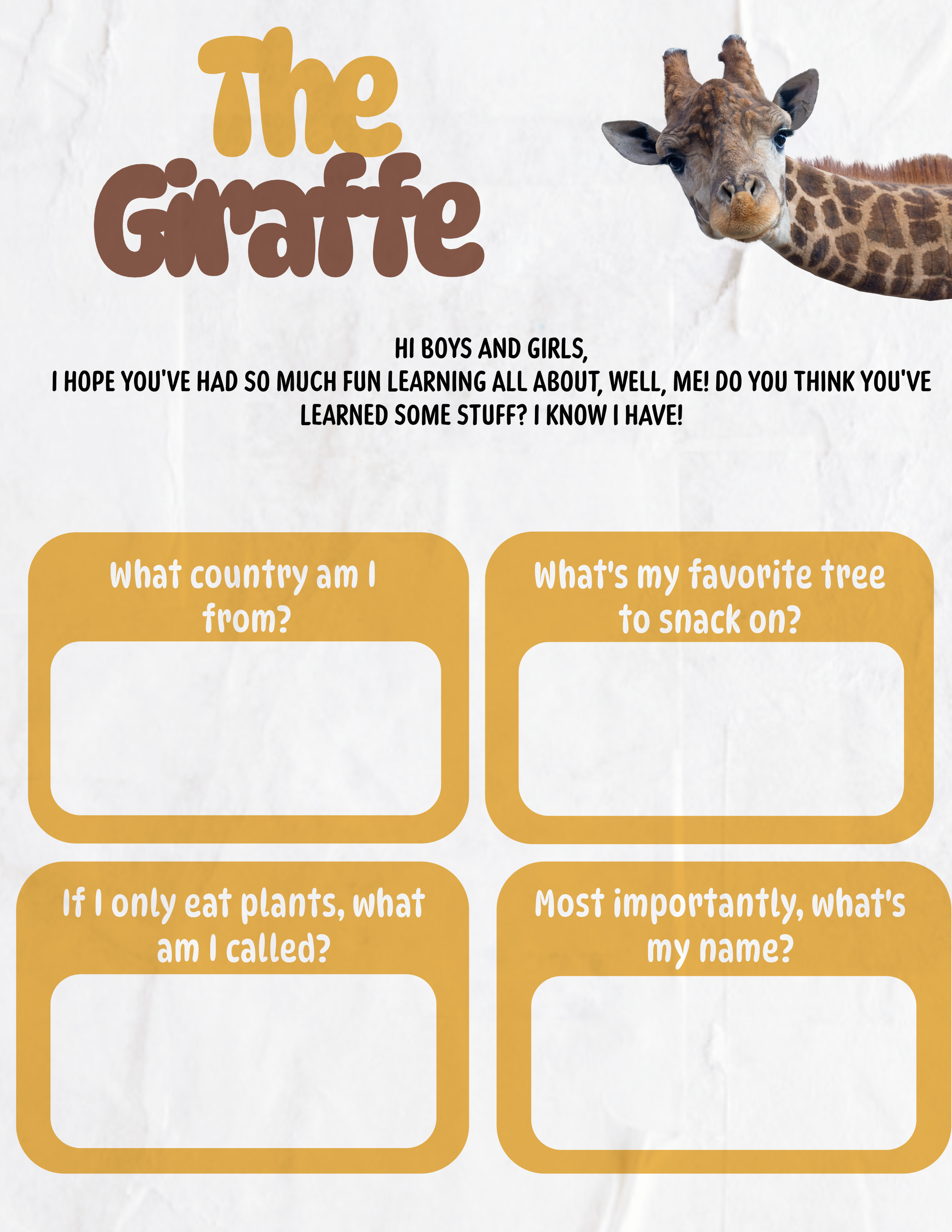 Giraffe Sheets for Website-2.png
