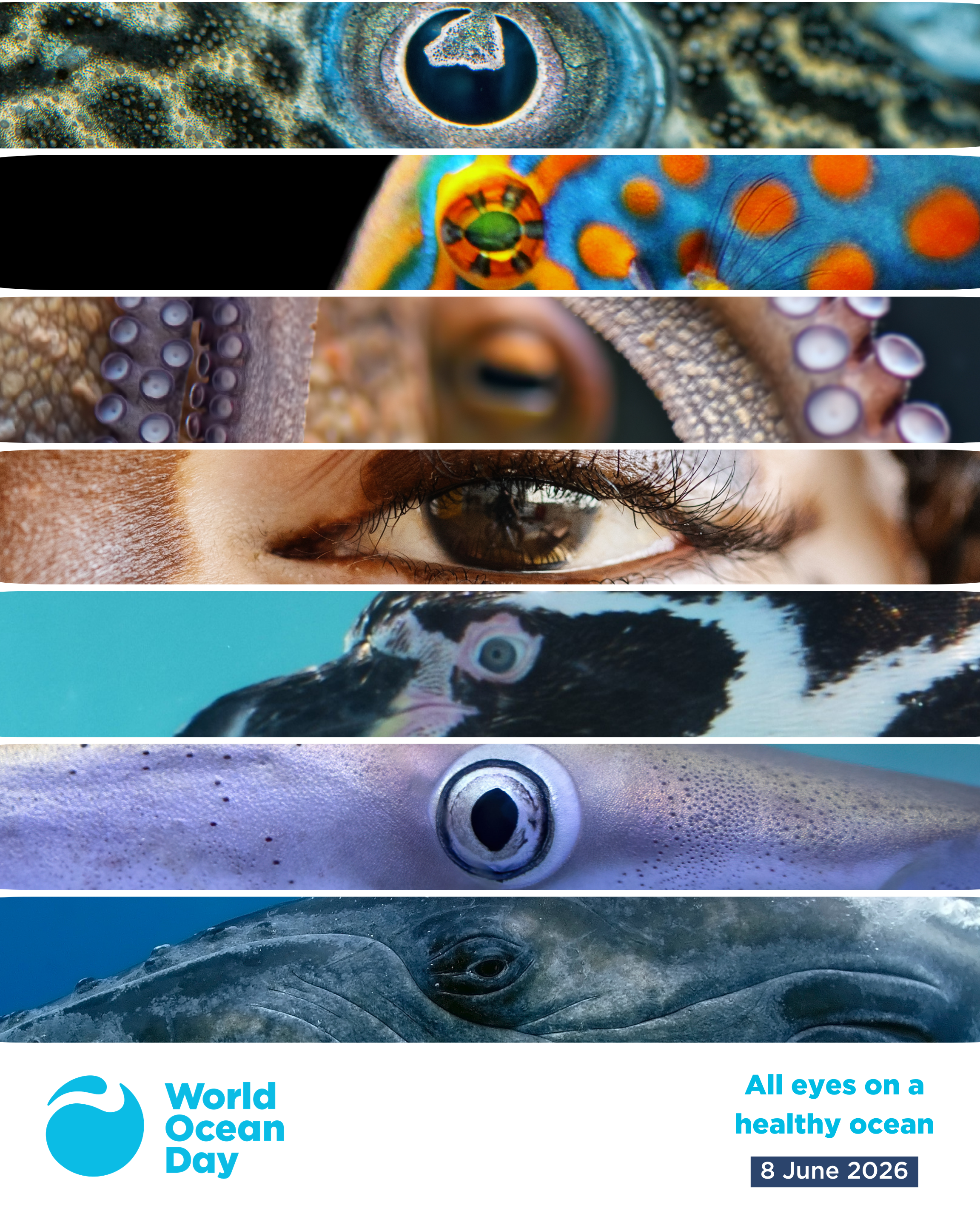 Eye Posters.png