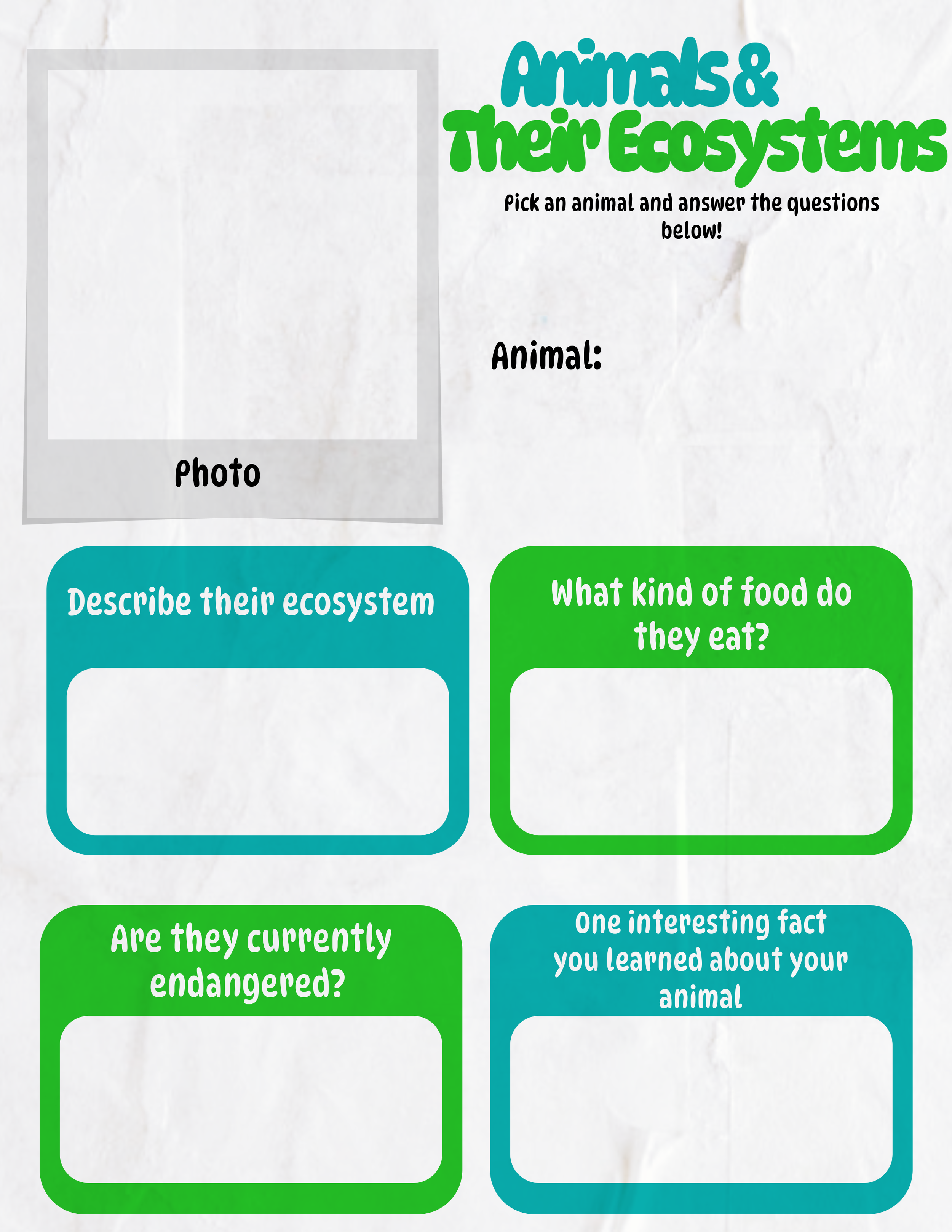 MagazineDup-21.png