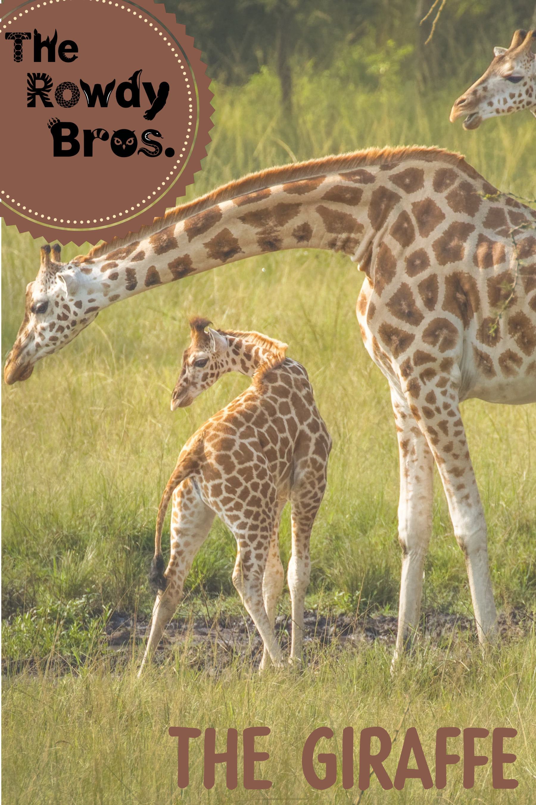 Giraffe Magazine (Printed Copy)